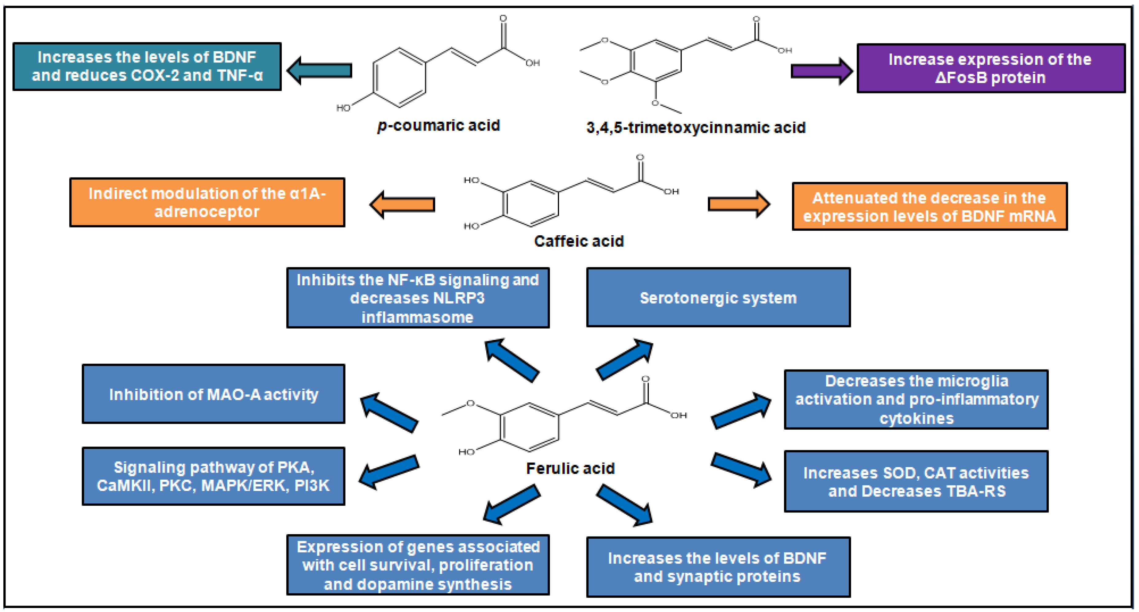 Molecules 24 04469 g004