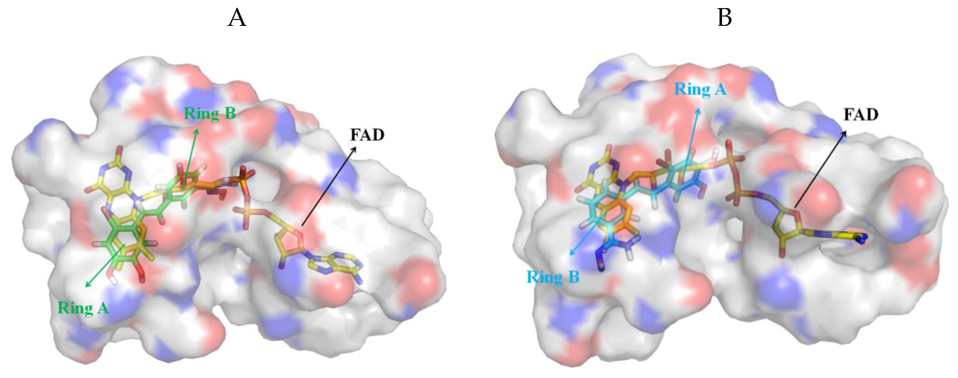 Molecules 24 04479 g008 Molecules 24 04479 g008