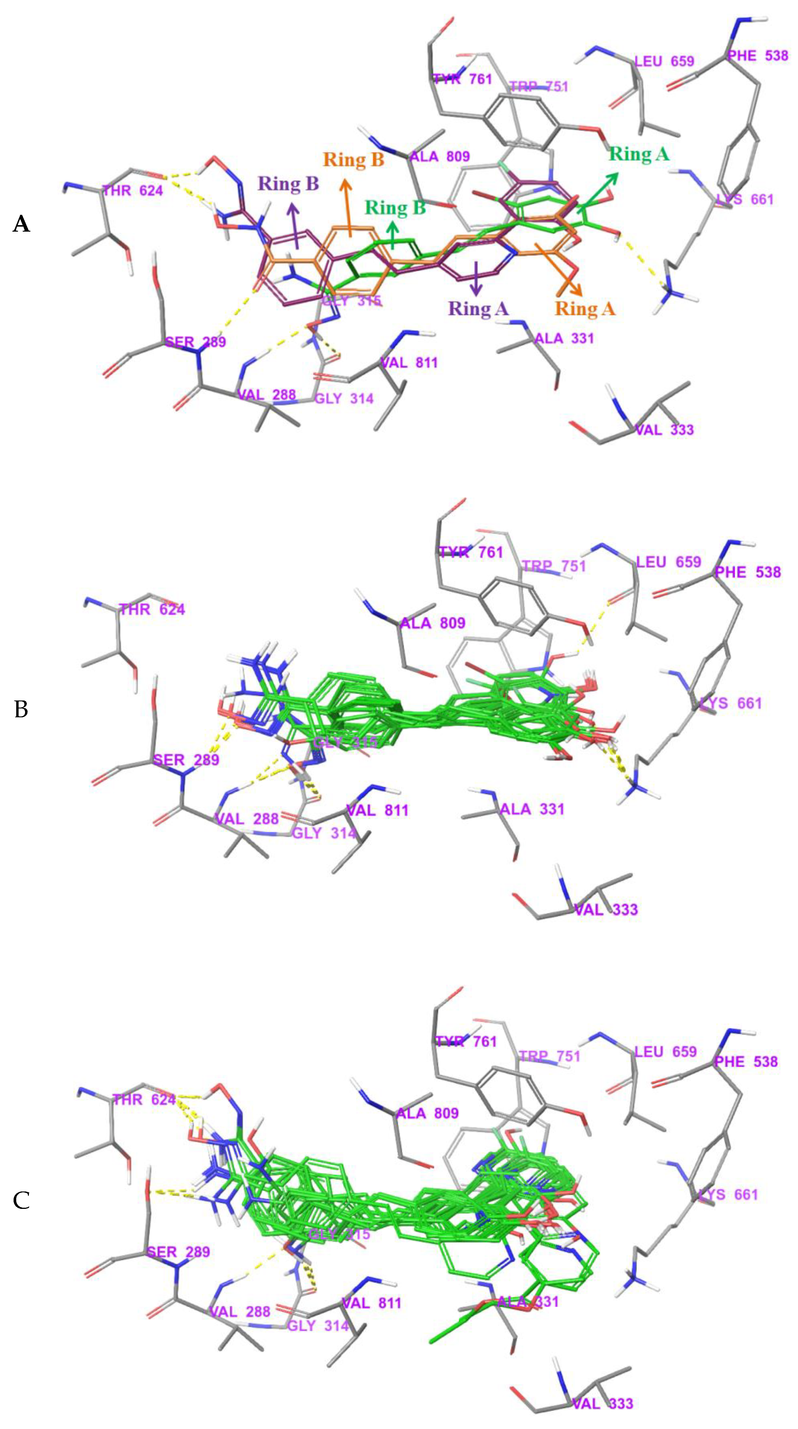 Molecules 24 04479 g009a Molecules 24 04479 g009a
