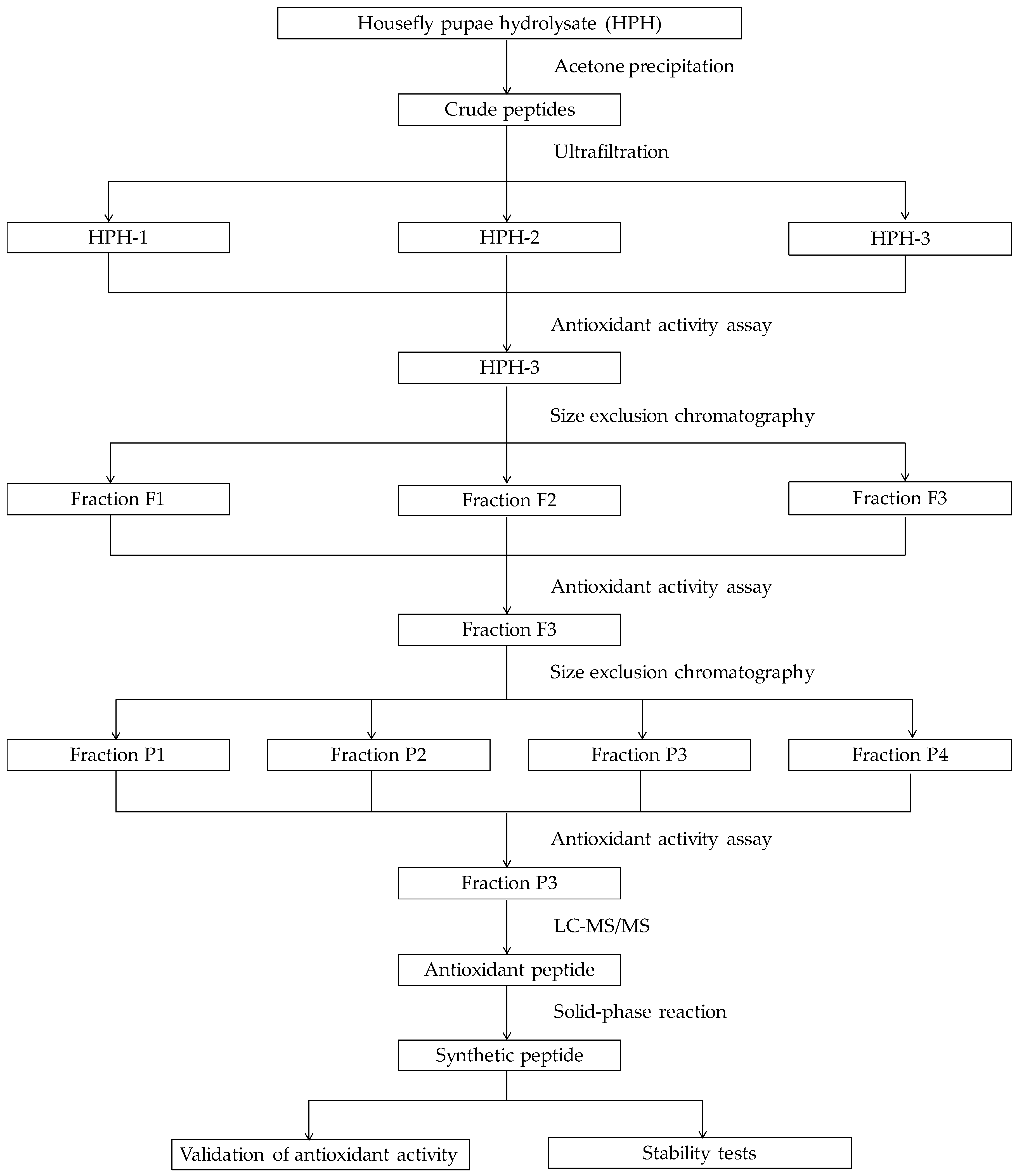 Molecules 24 04486 g001