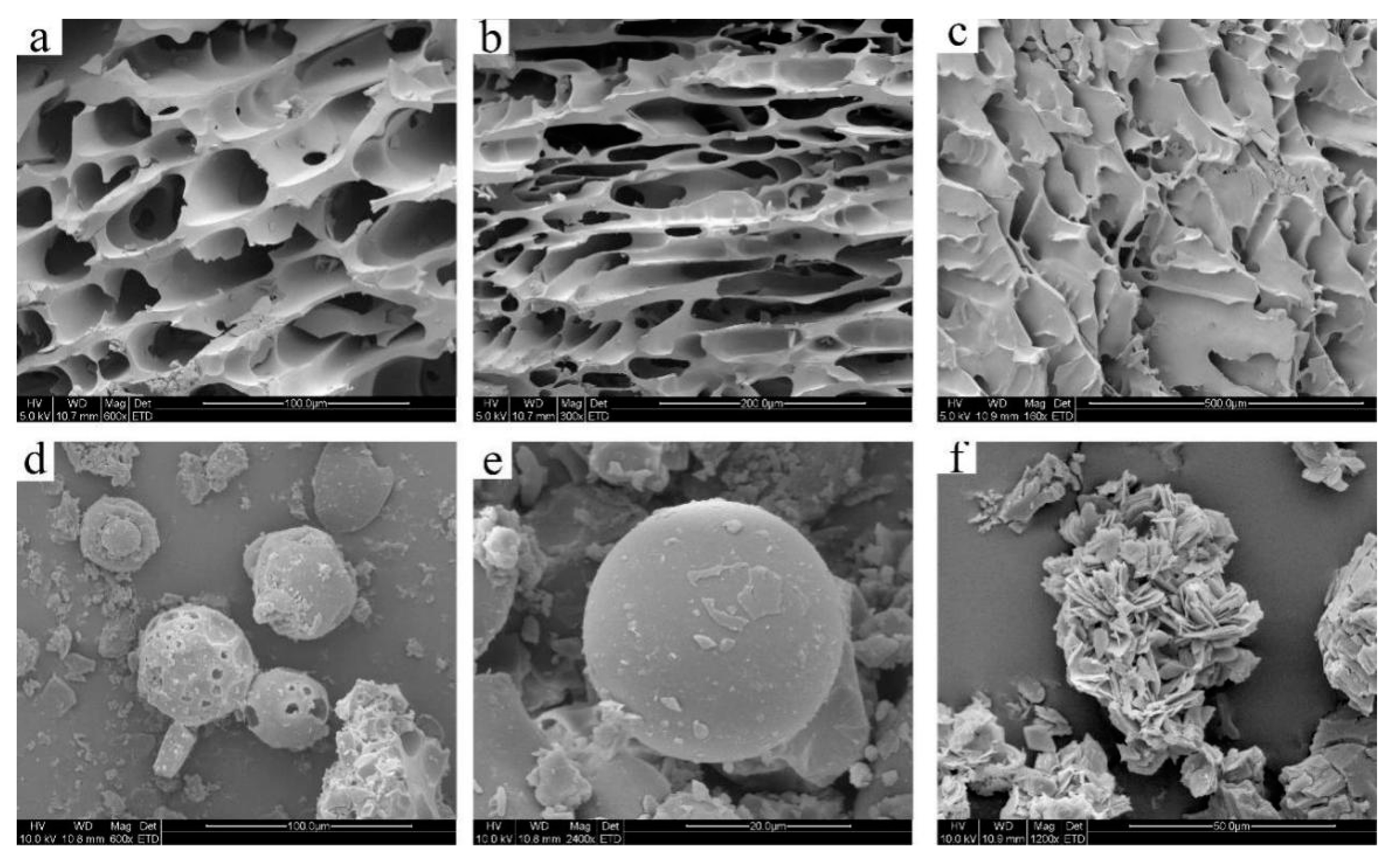 Molecules 24 04487 g004