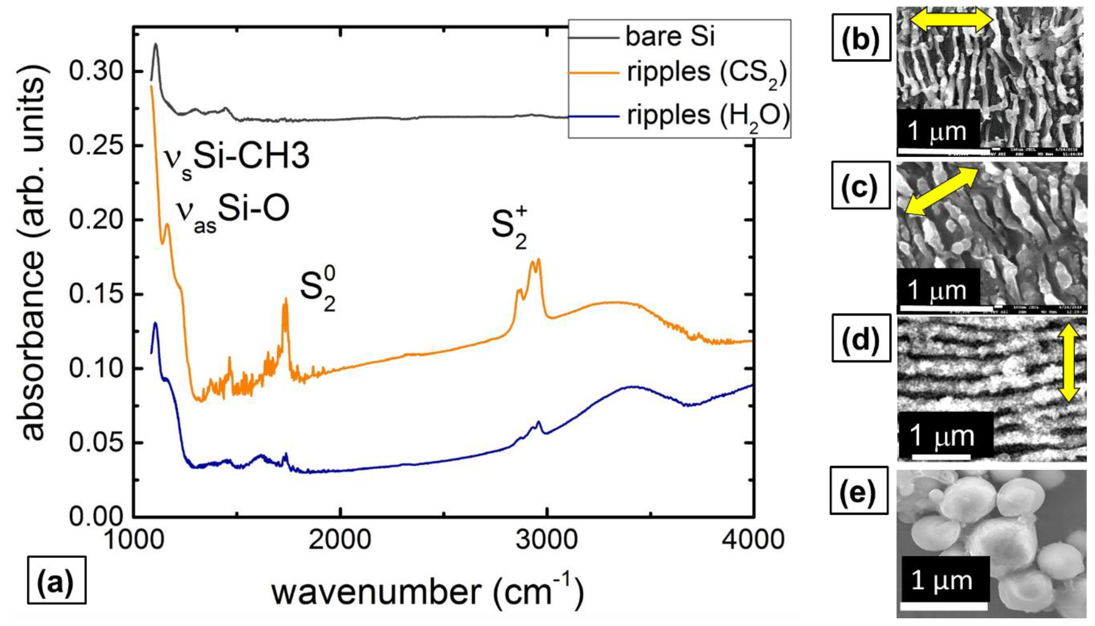 Molecules 24 04488 g001