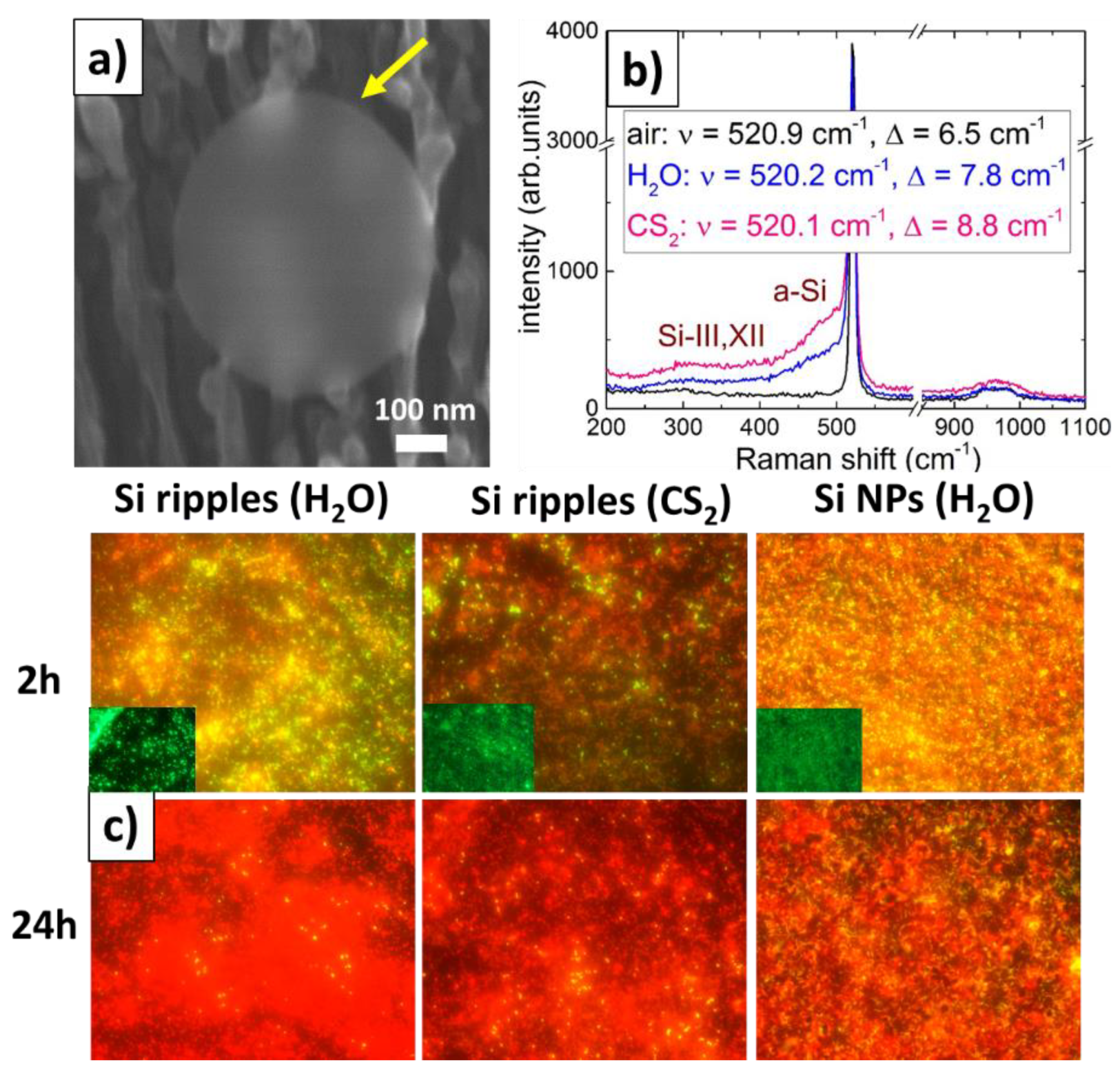 Molecules 24 04488 g002