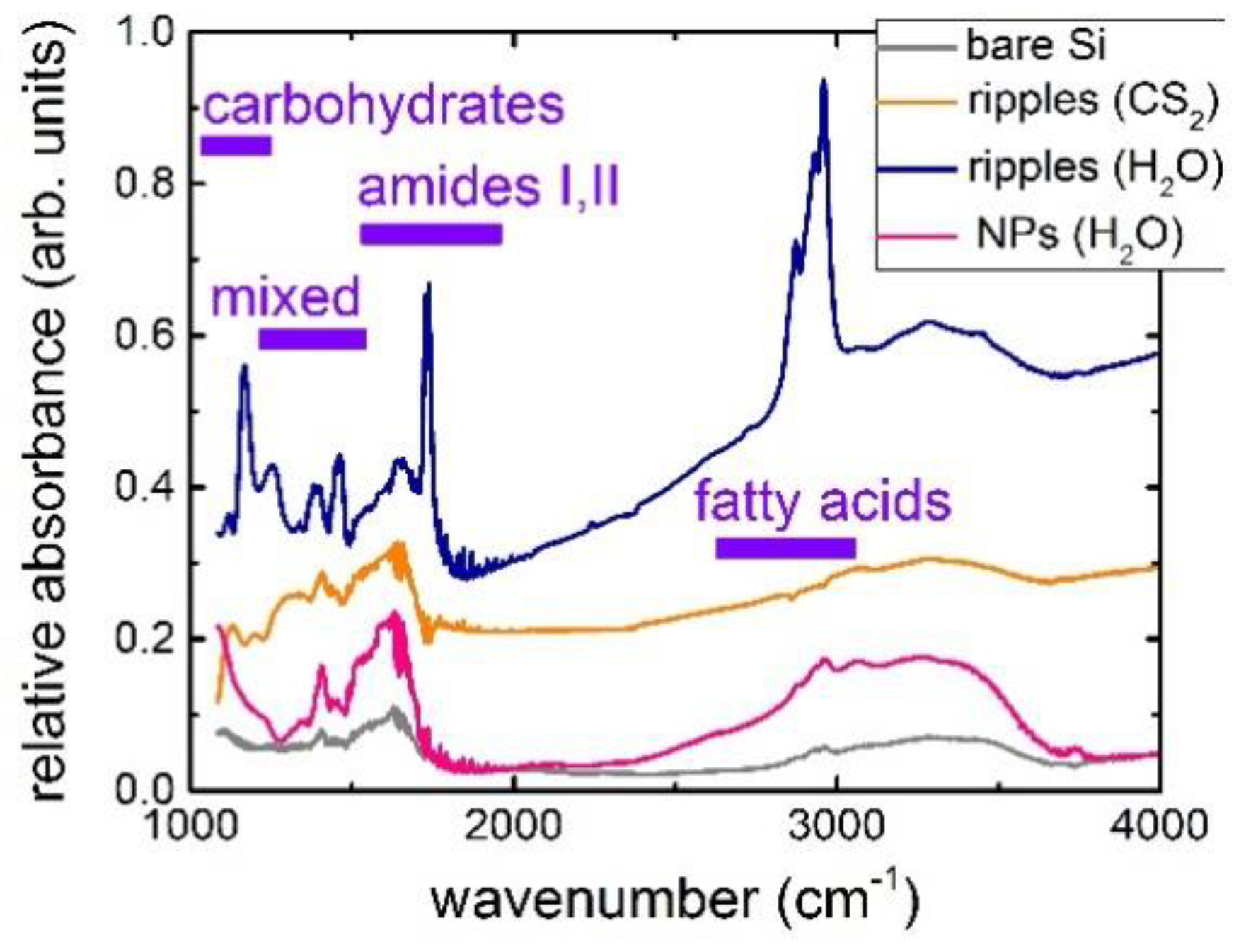 Molecules 24 04488 g003