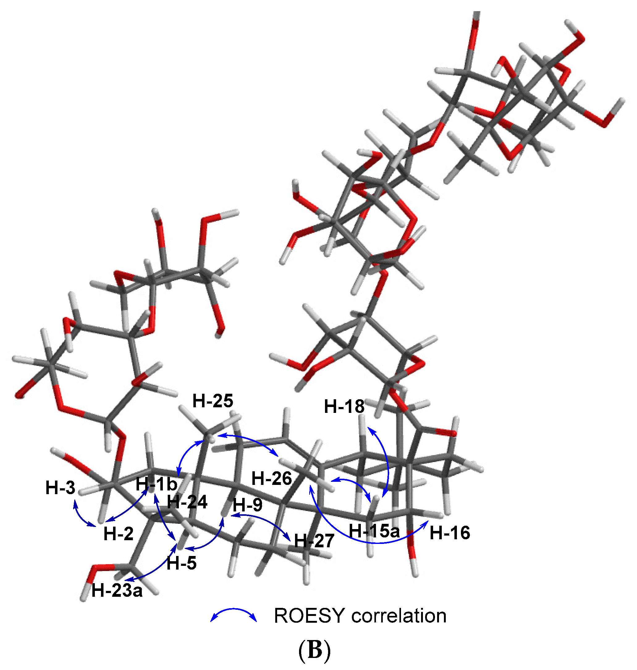 Molecules 24 04489 g001b Molecules 24 04489 g001b