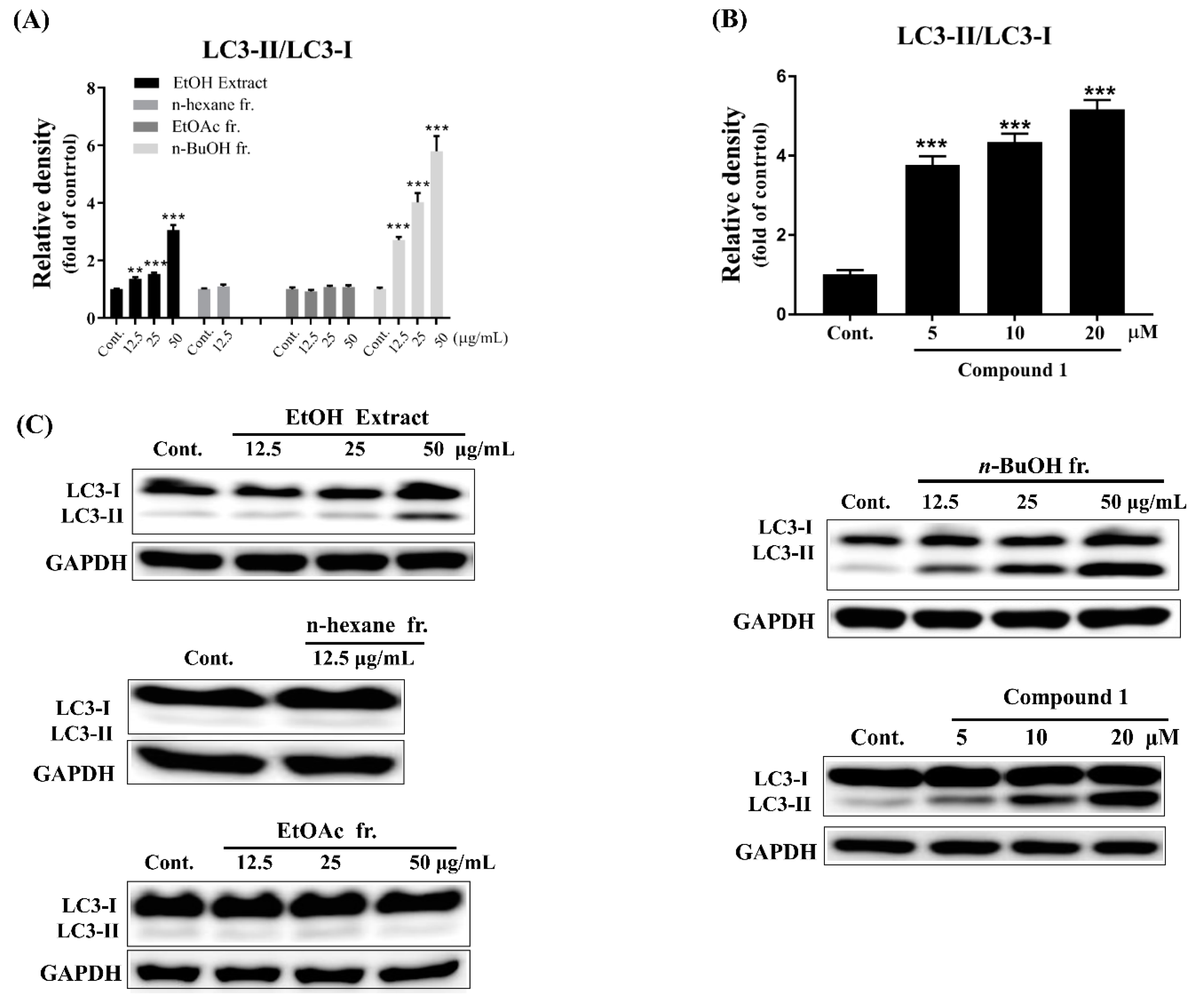 Molecules 24 04489 g004 Molecules 24 04489 g004