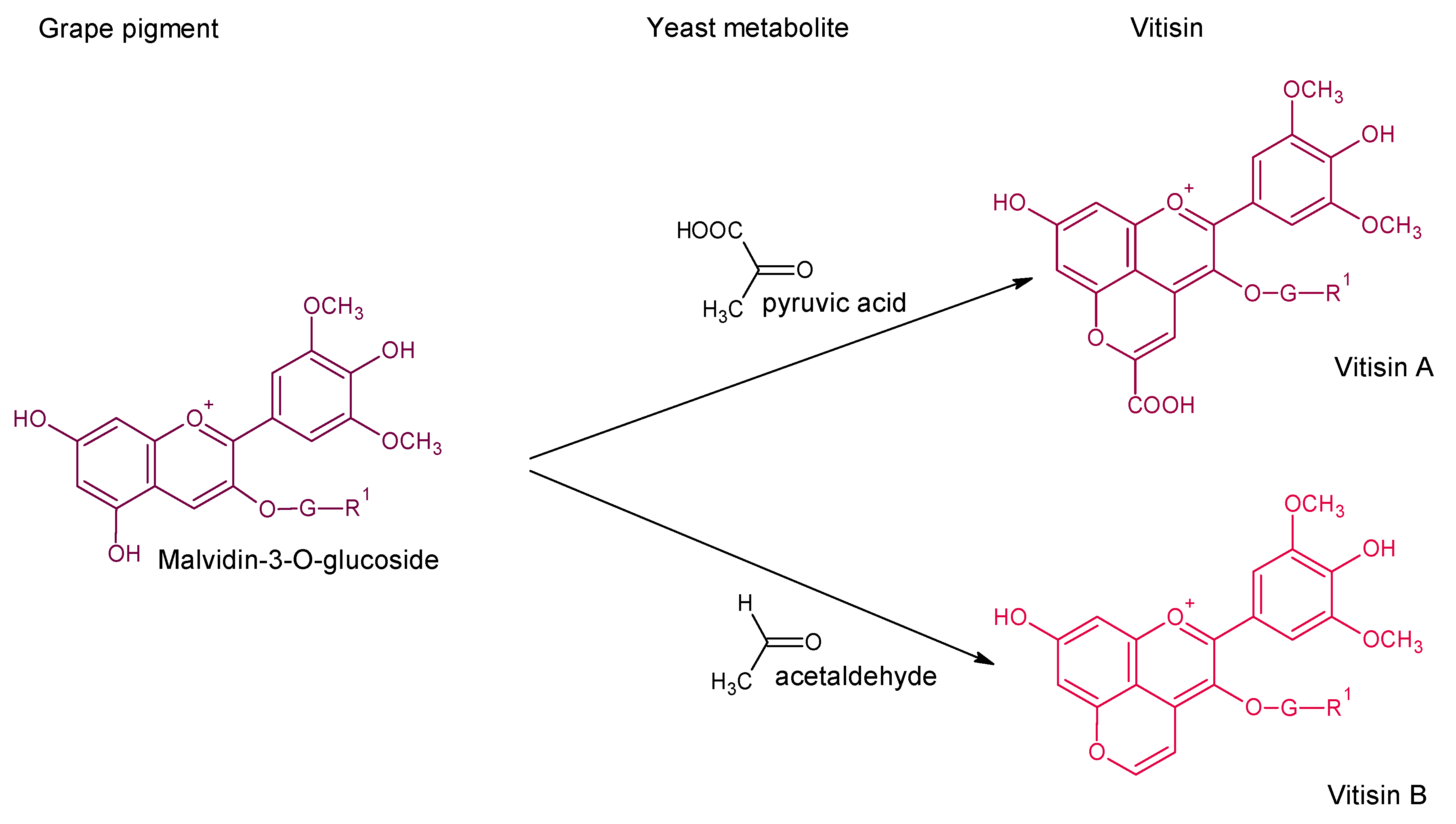 Molecules 24 04490 g004