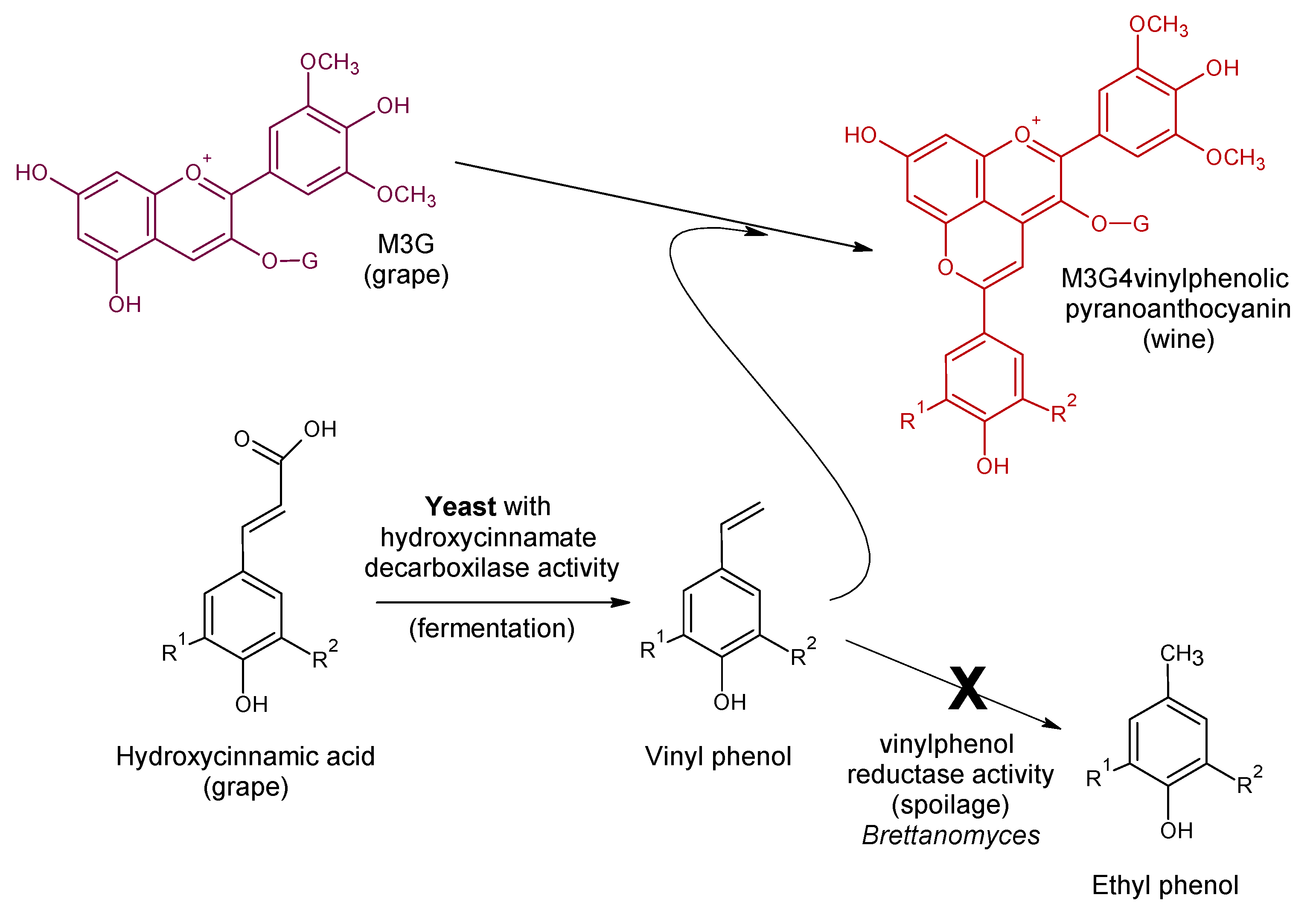 Molecules 24 04490 g006