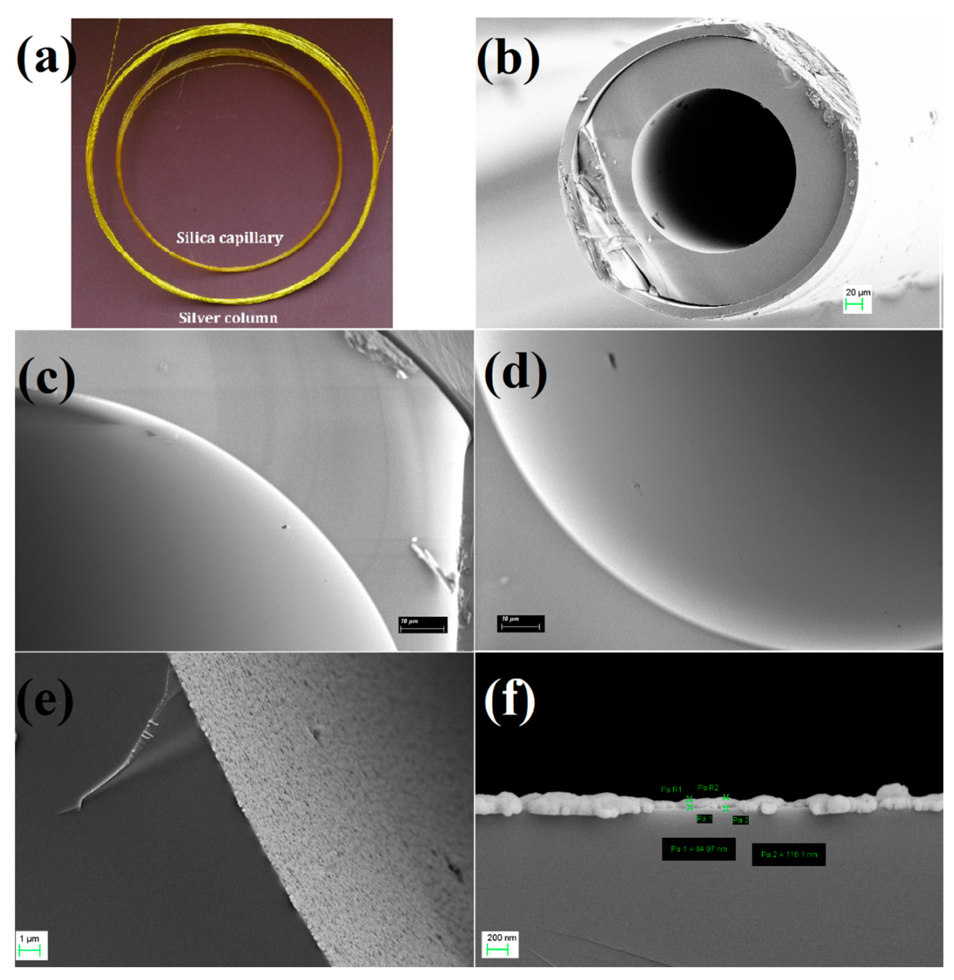 Molecules 24 04491 g001