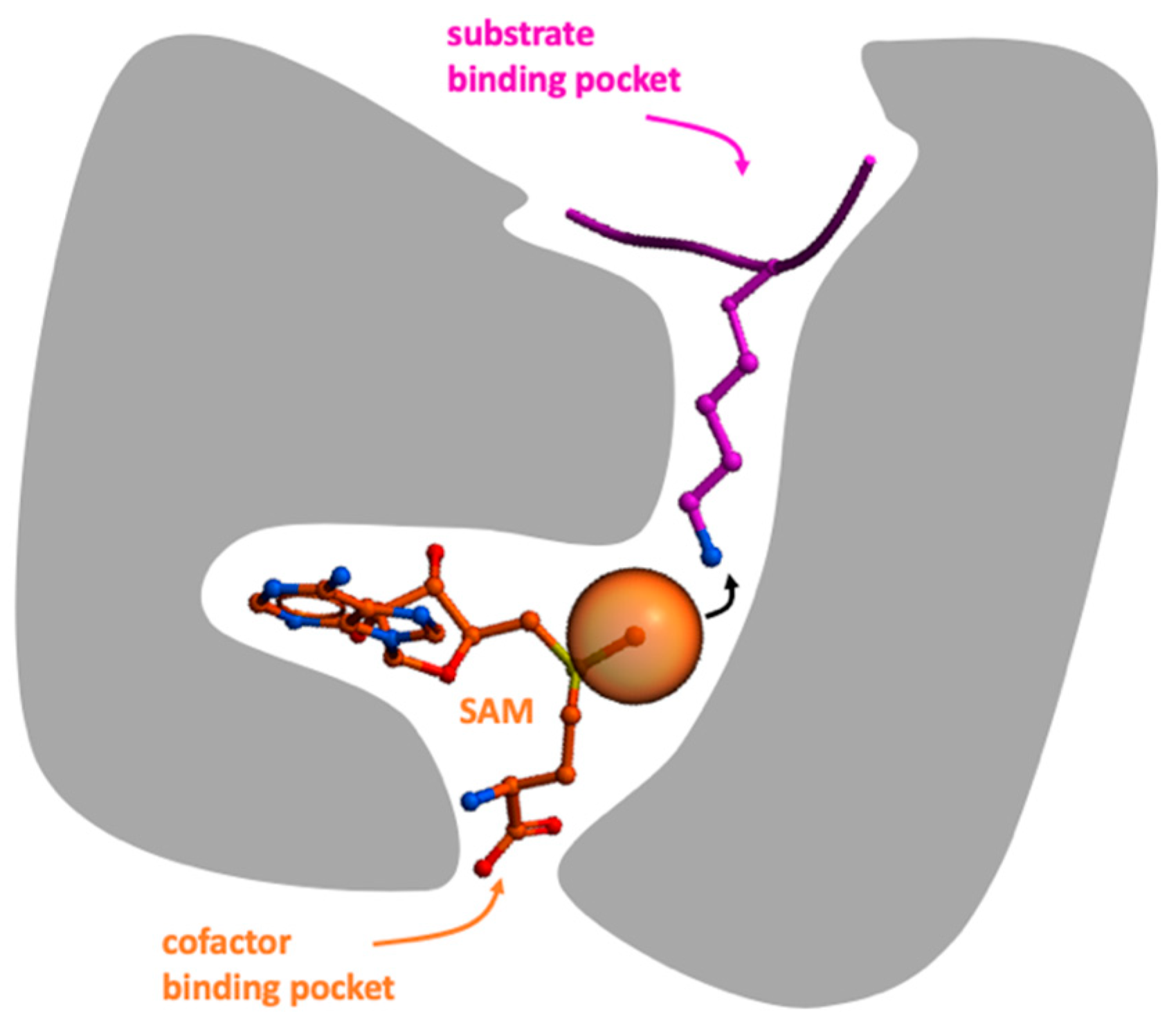 Molecules 24 04492 g001