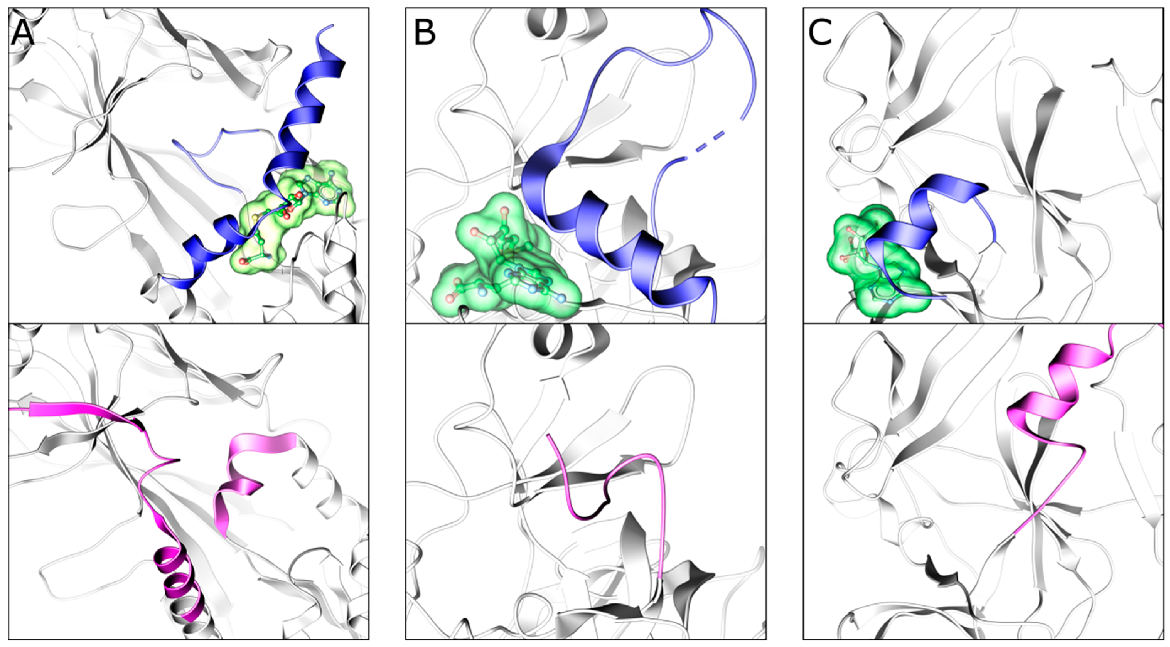 Molecules 24 04492 g007