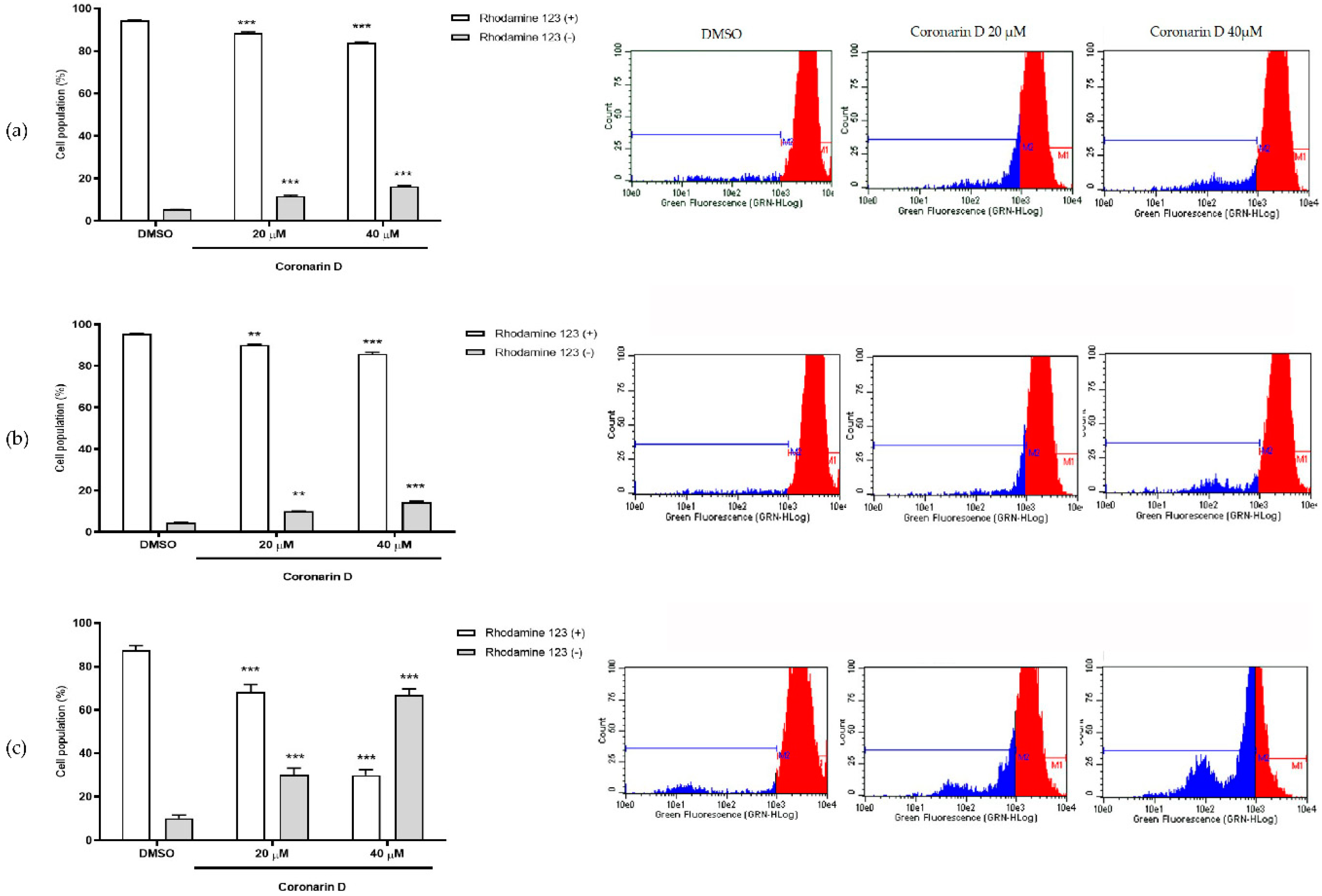 Molecules 24 04498 g006
