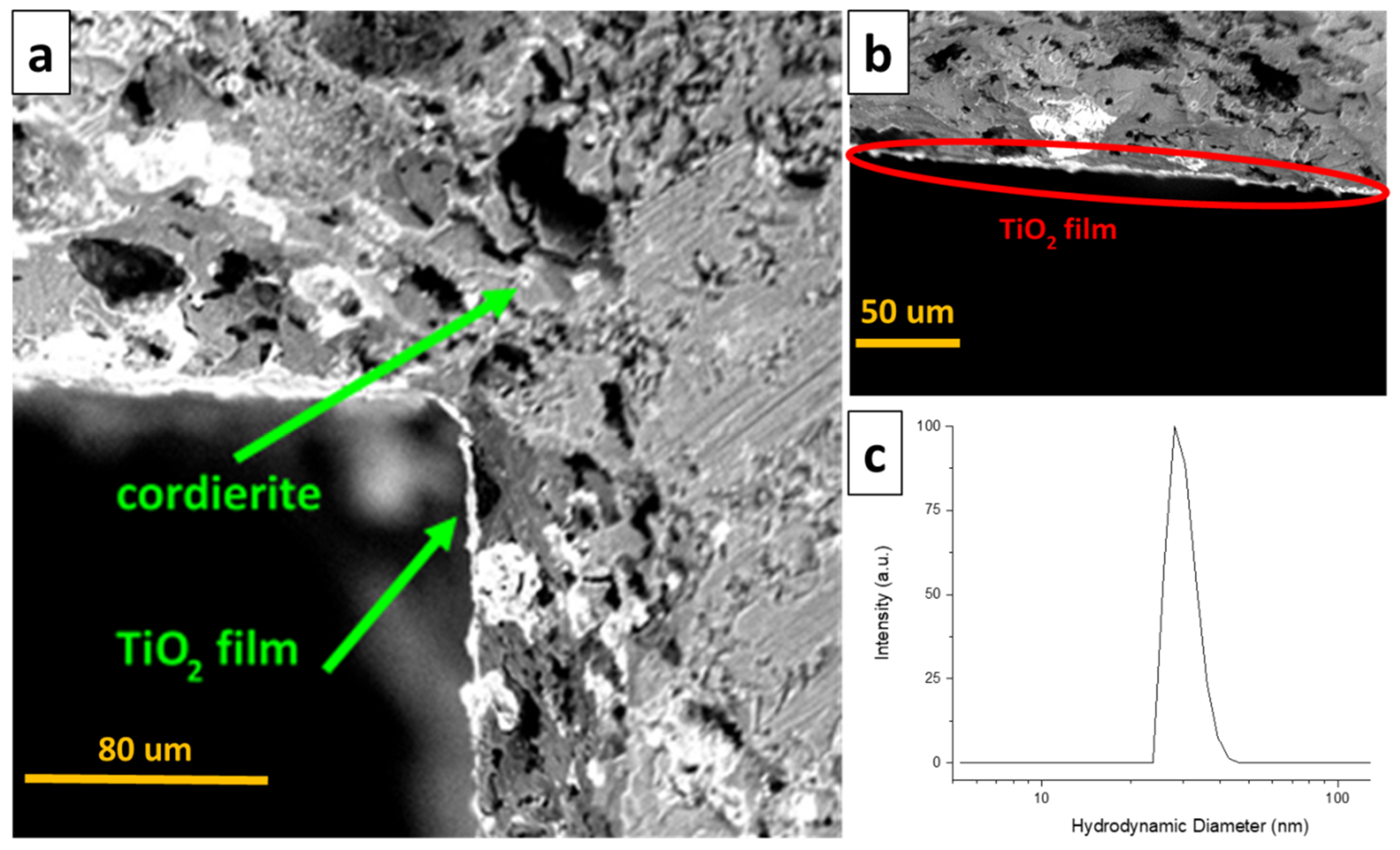 Molecules 24 04499 g001