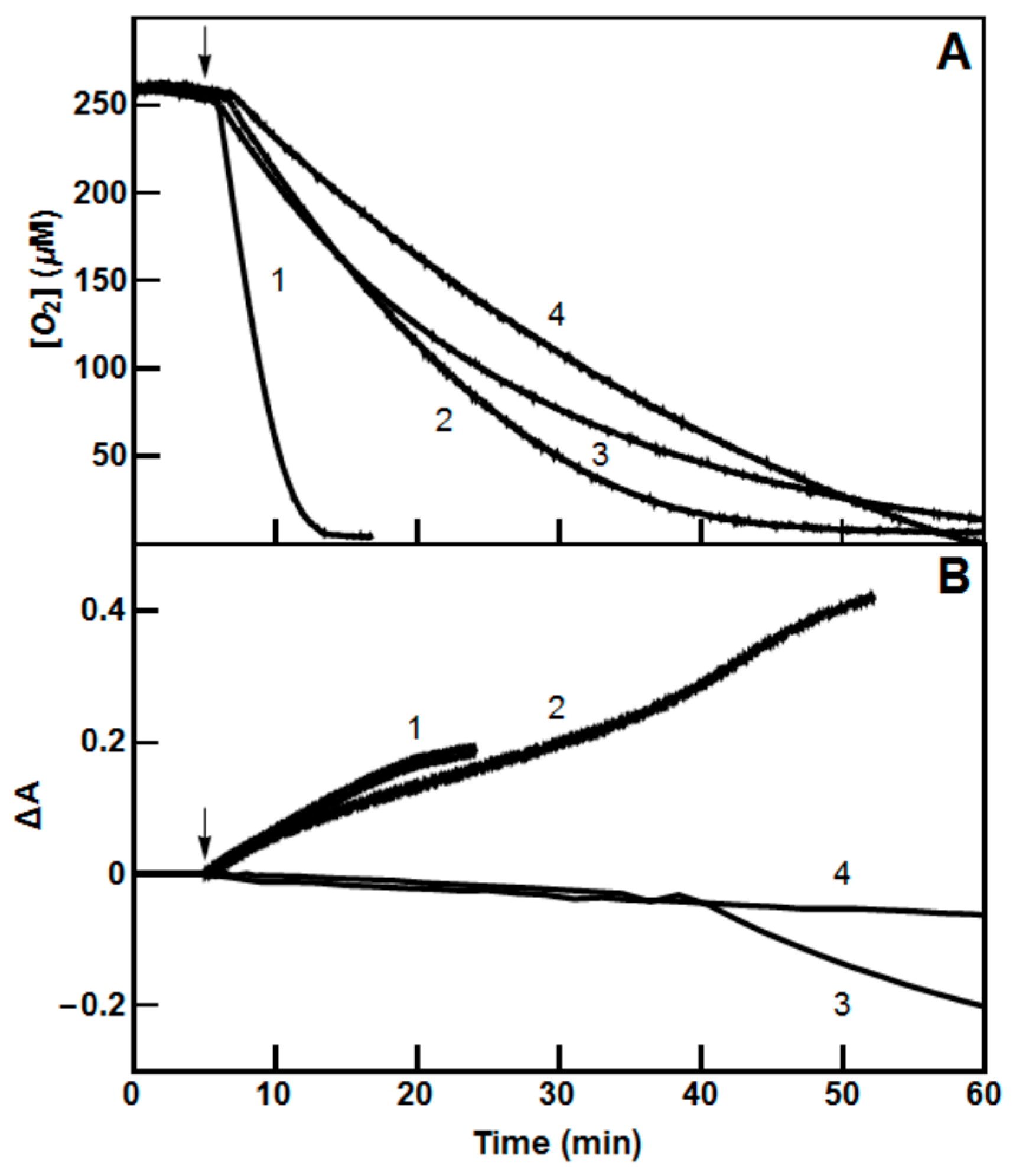 Molecules 24 04509 g003