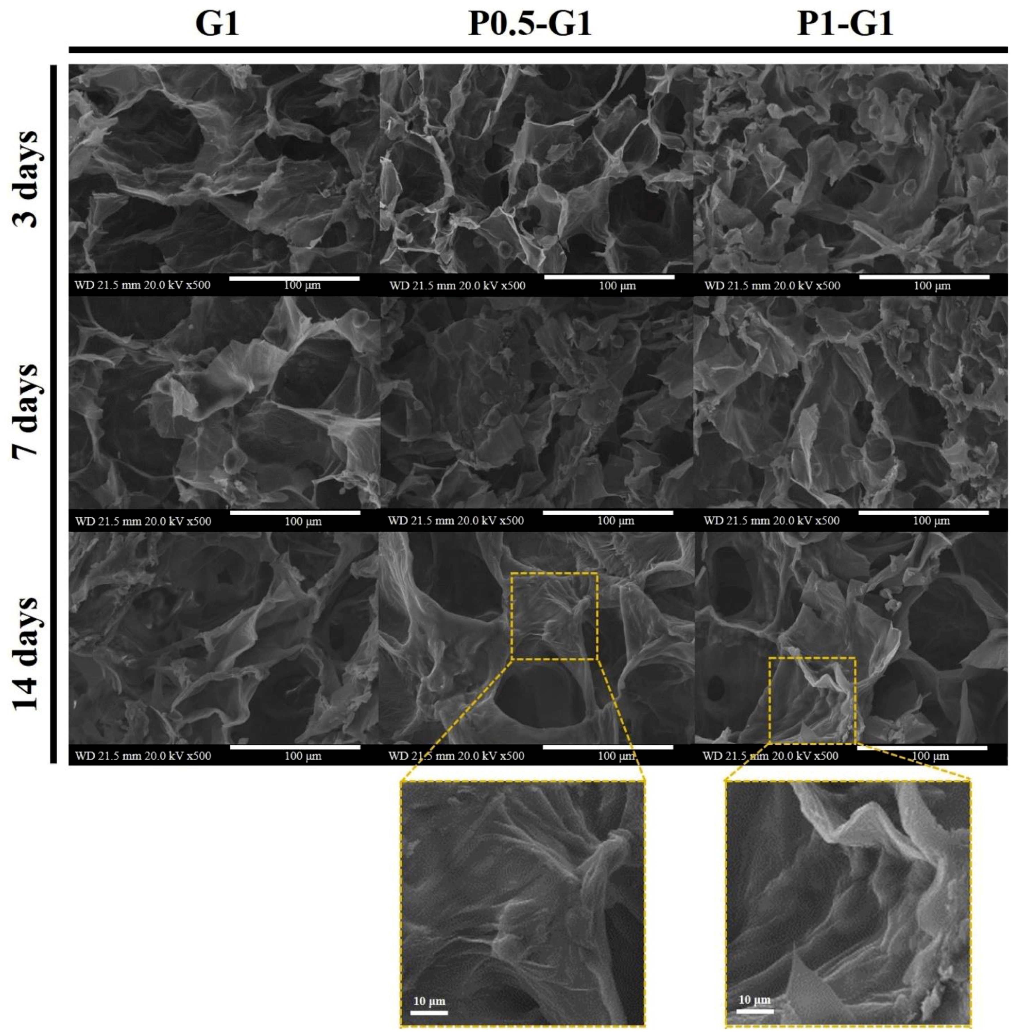 Molecules 24 04514 g005 Molecules 24 04514 g005