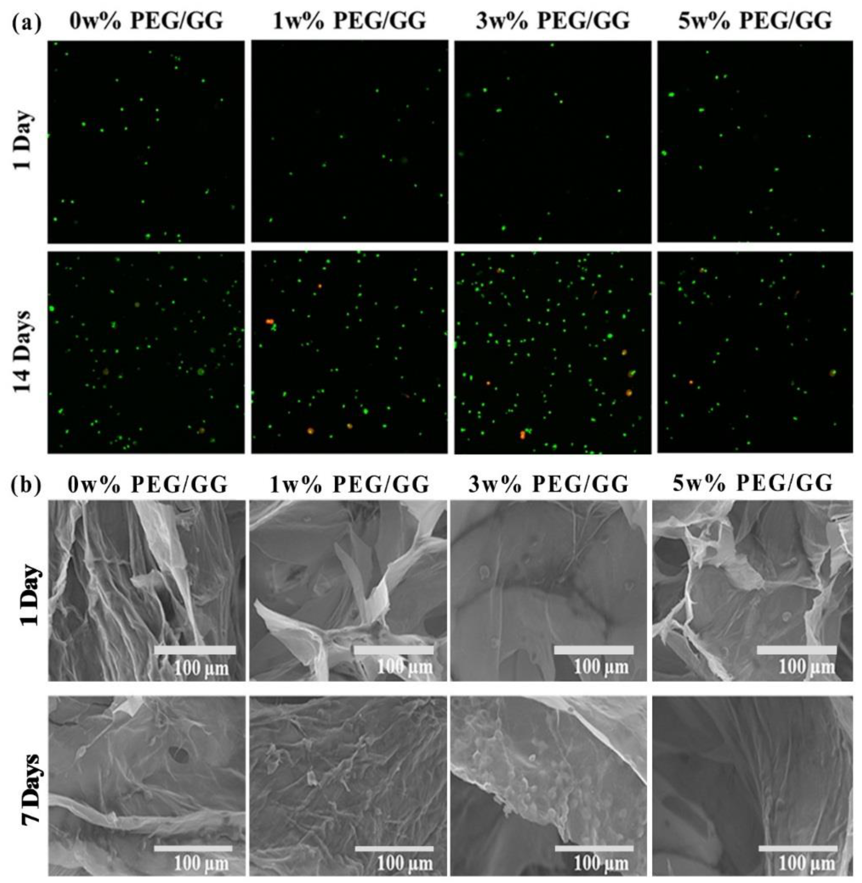 Molecules 24 04514 g006 Molecules 24 04514 g006