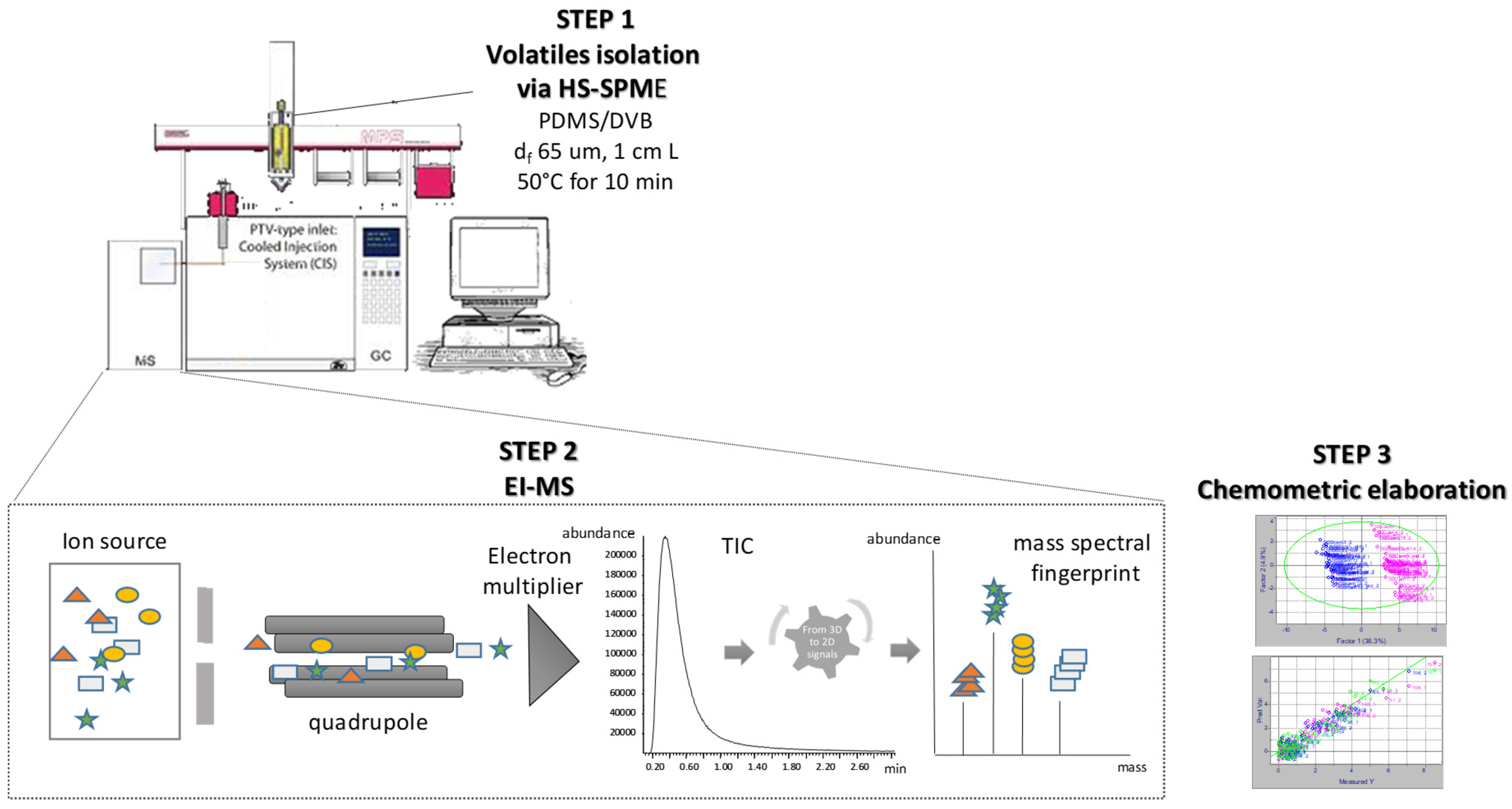 Molecules 24 04515 g002