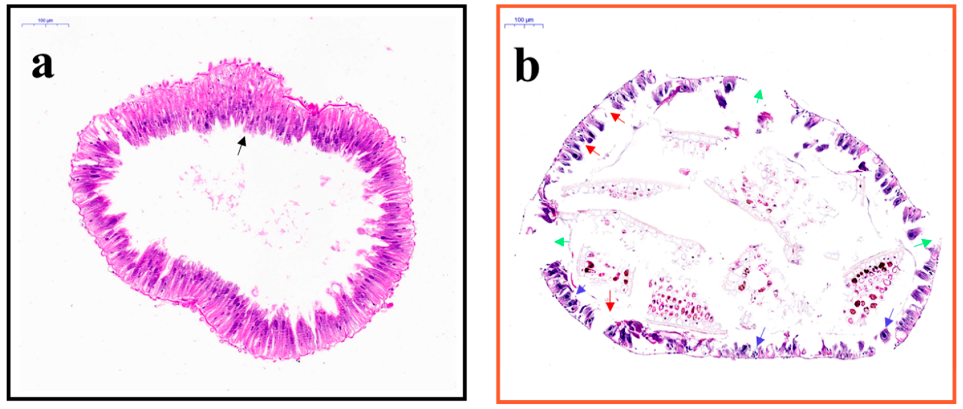 Molecules 24 04518 g002