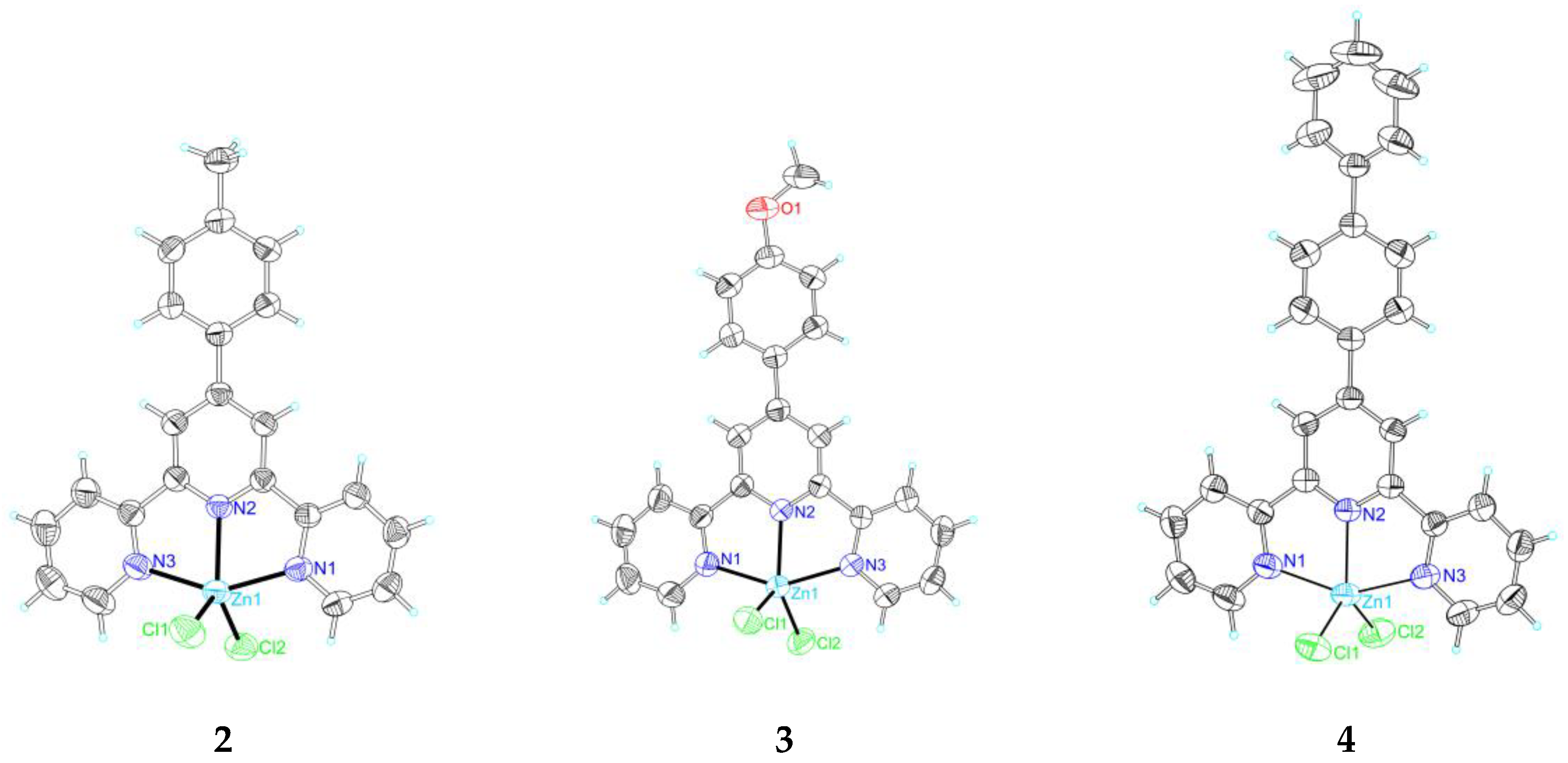 Molecules 24 04519 g001a