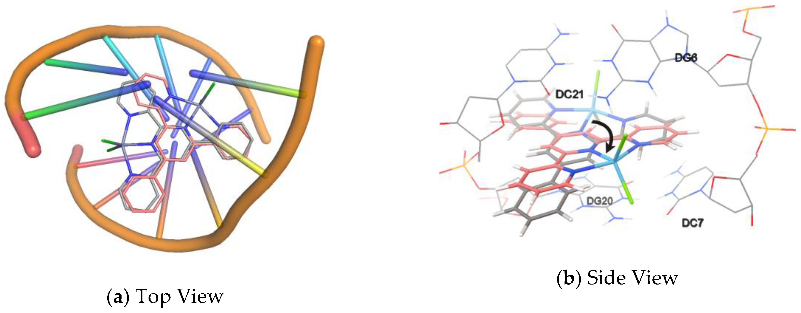 Molecules 24 04519 g011
