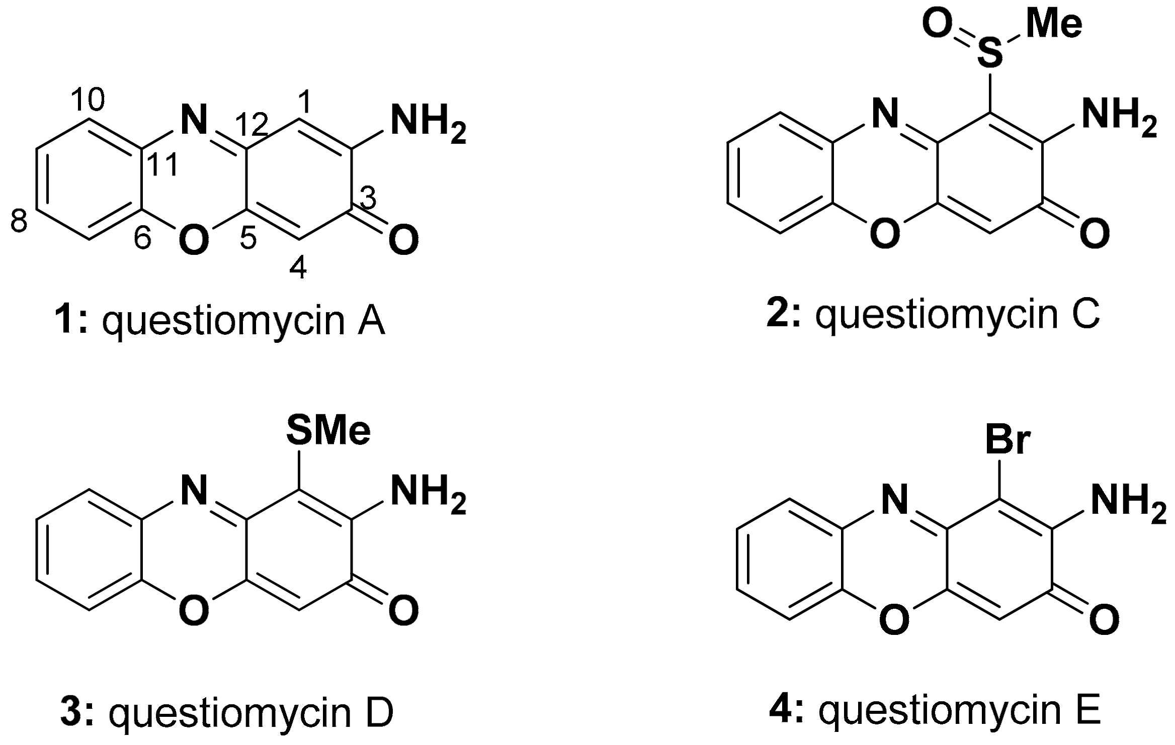 Molecules 24 04522 g001