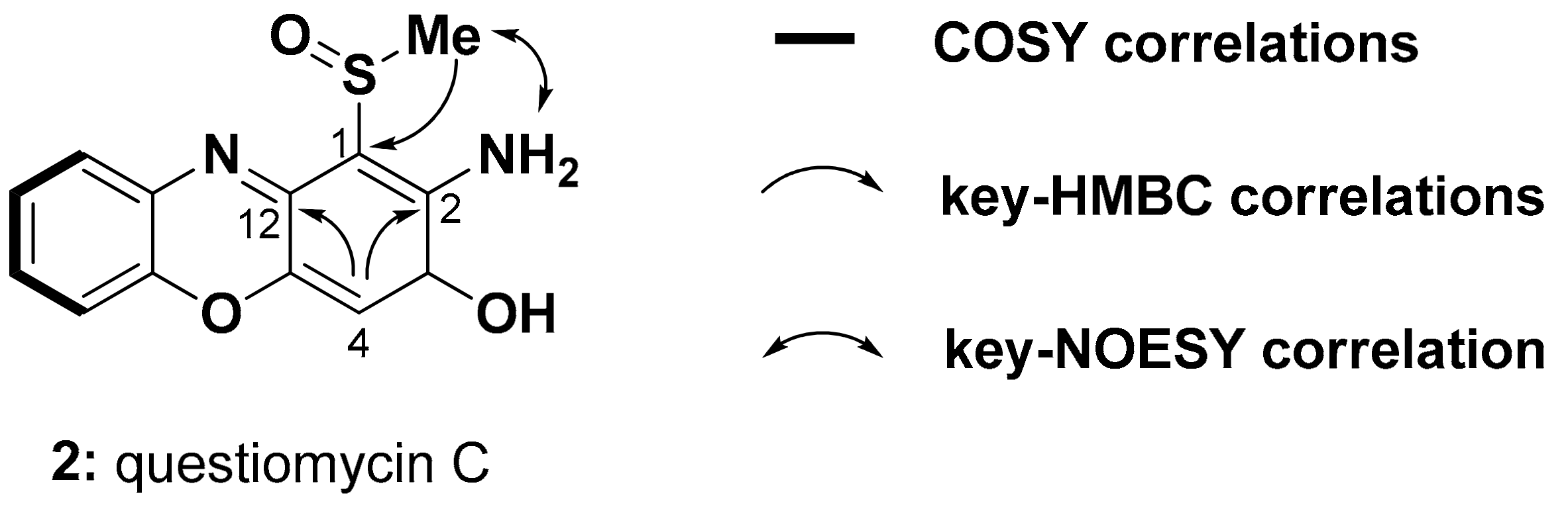 Molecules 24 04522 g002