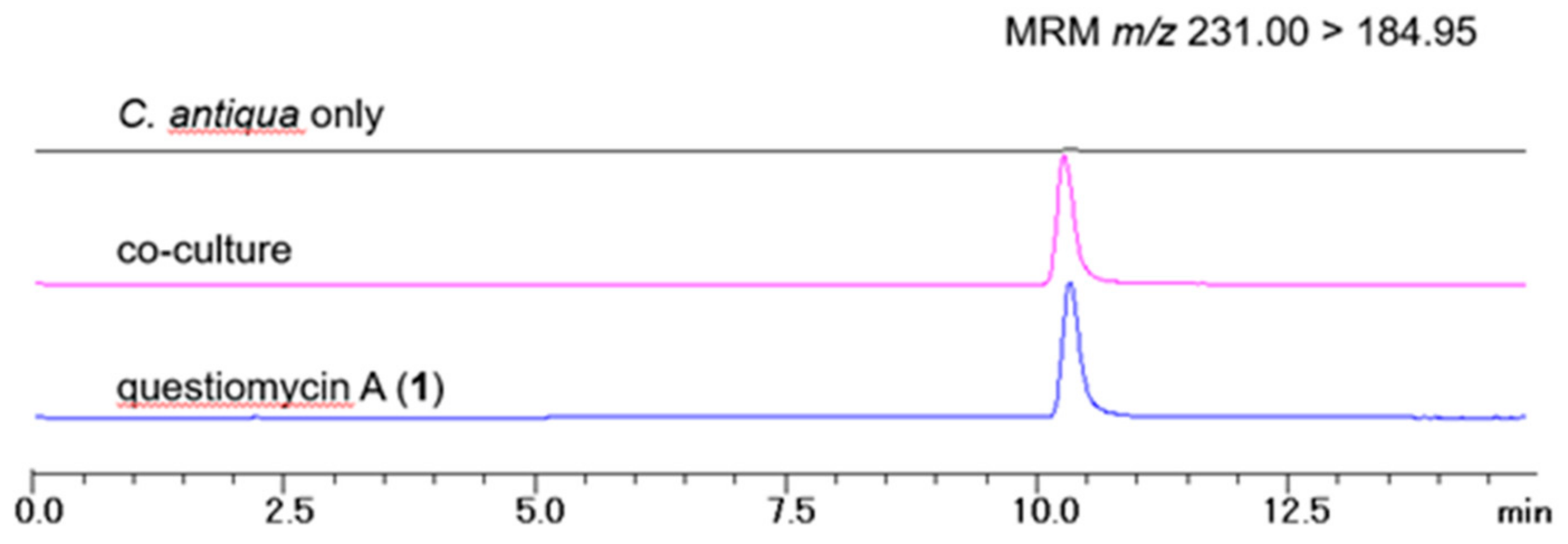 Molecules 24 04522 g003