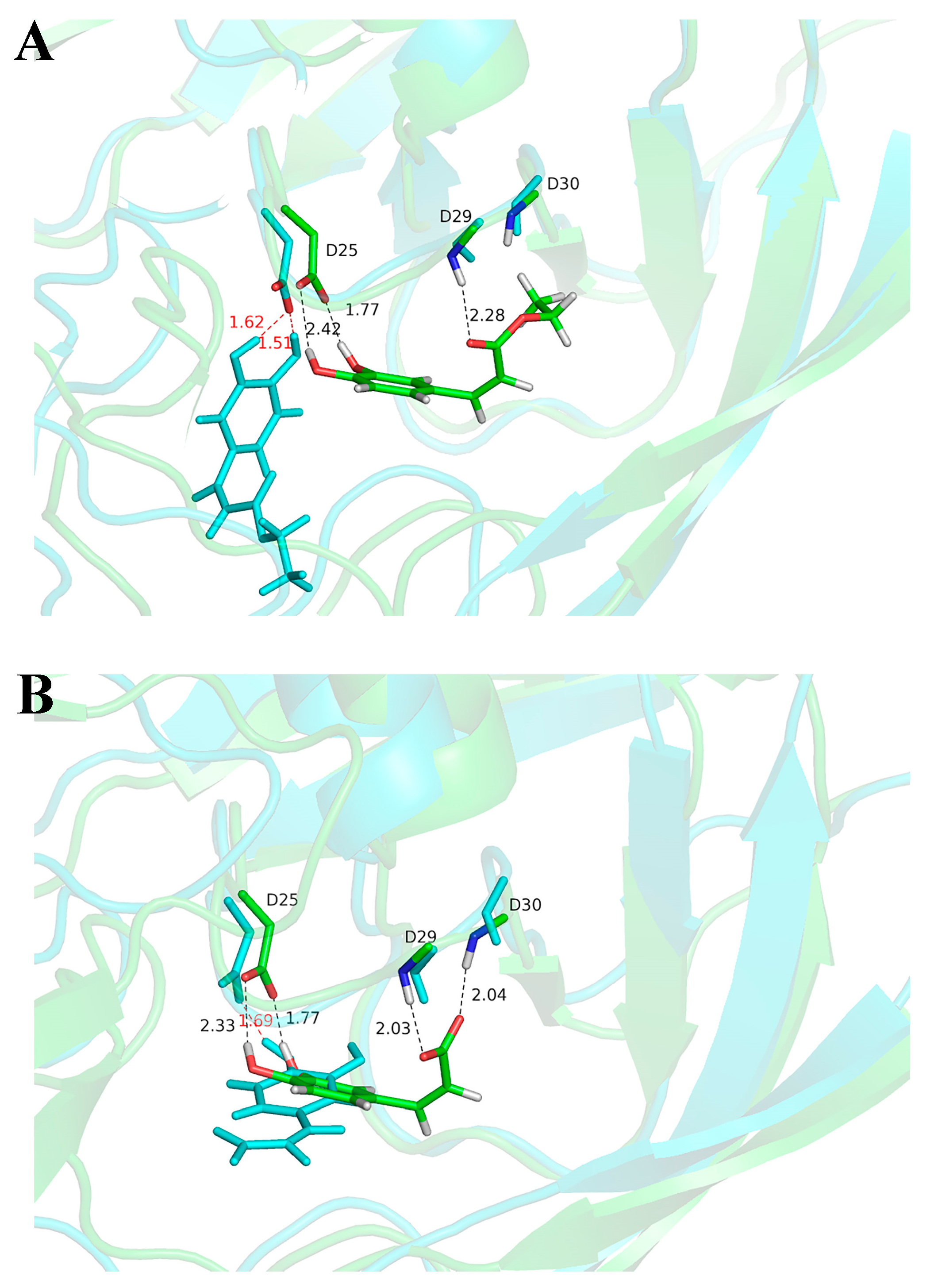 Molecules 24 04526 g004