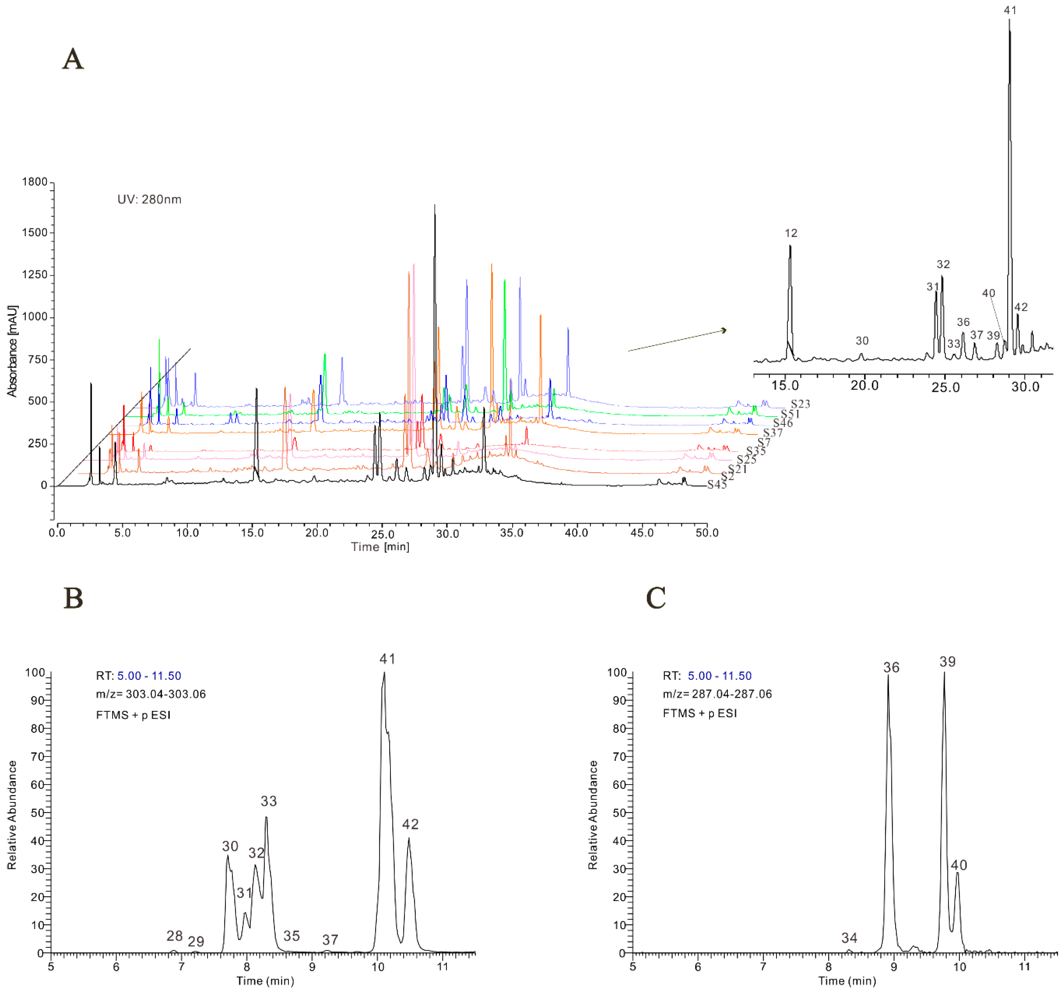 Molecules 24 04528 g001