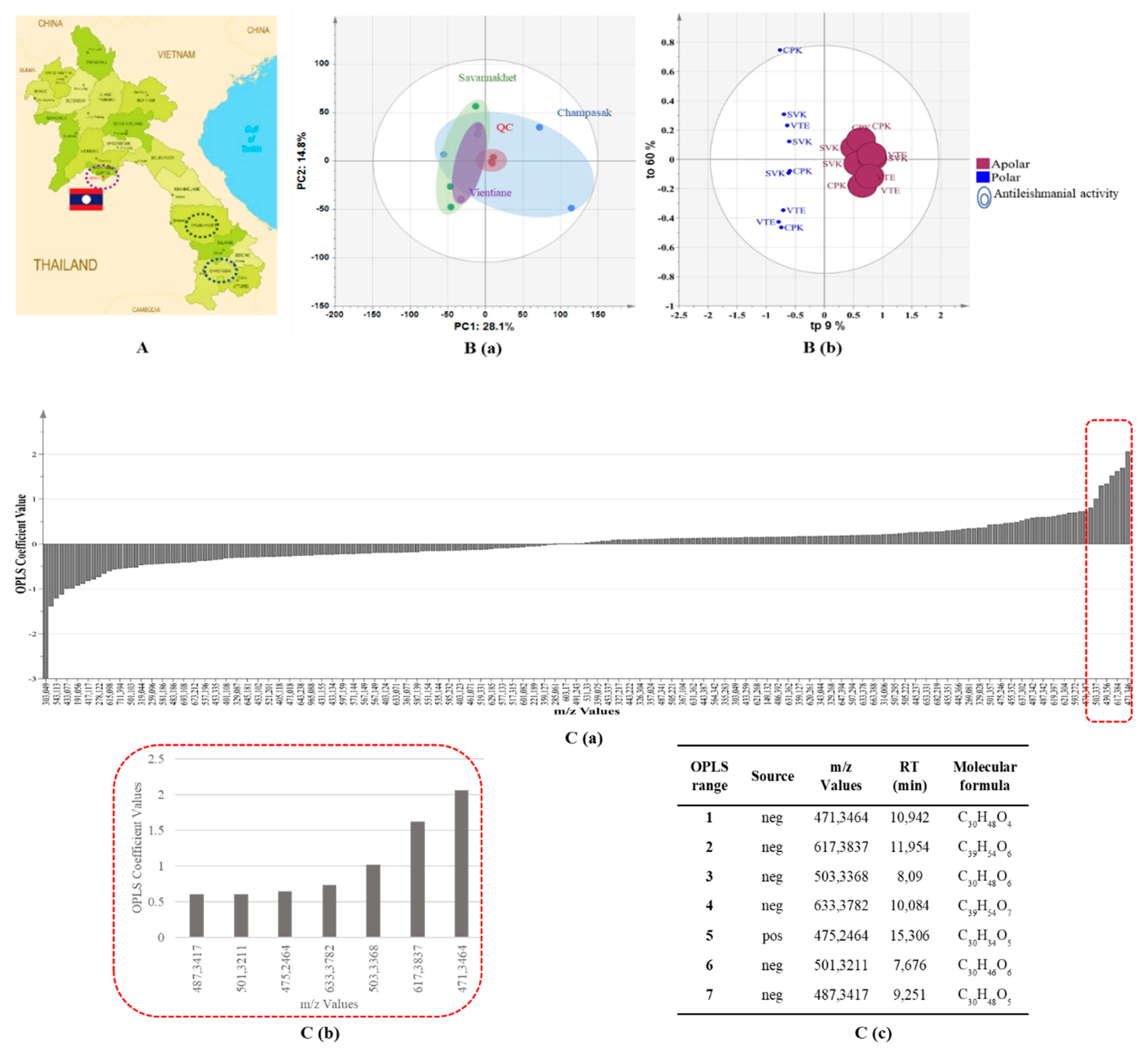 Molecules 24 04536 g002