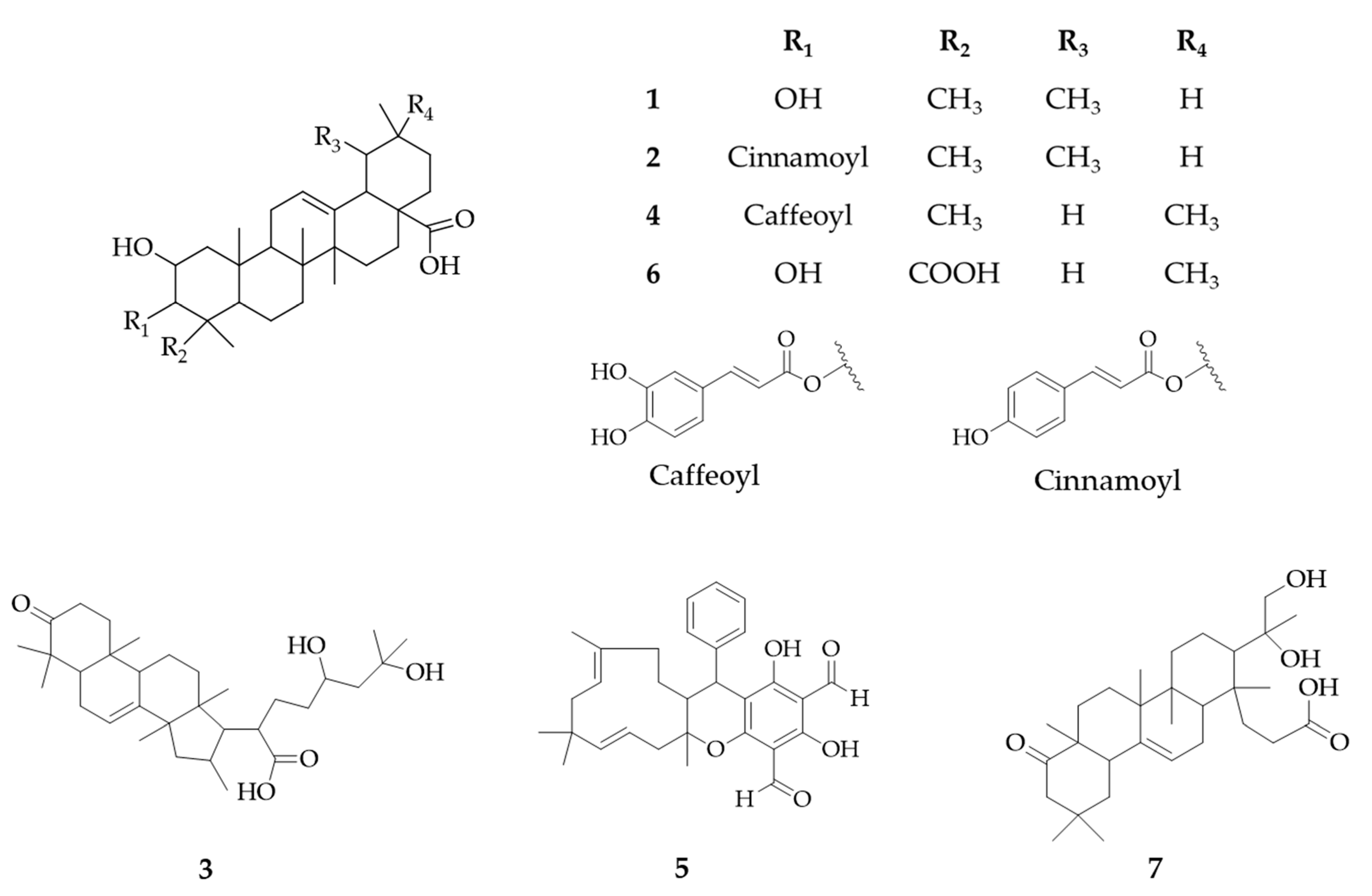 Molecules 24 04536 g003