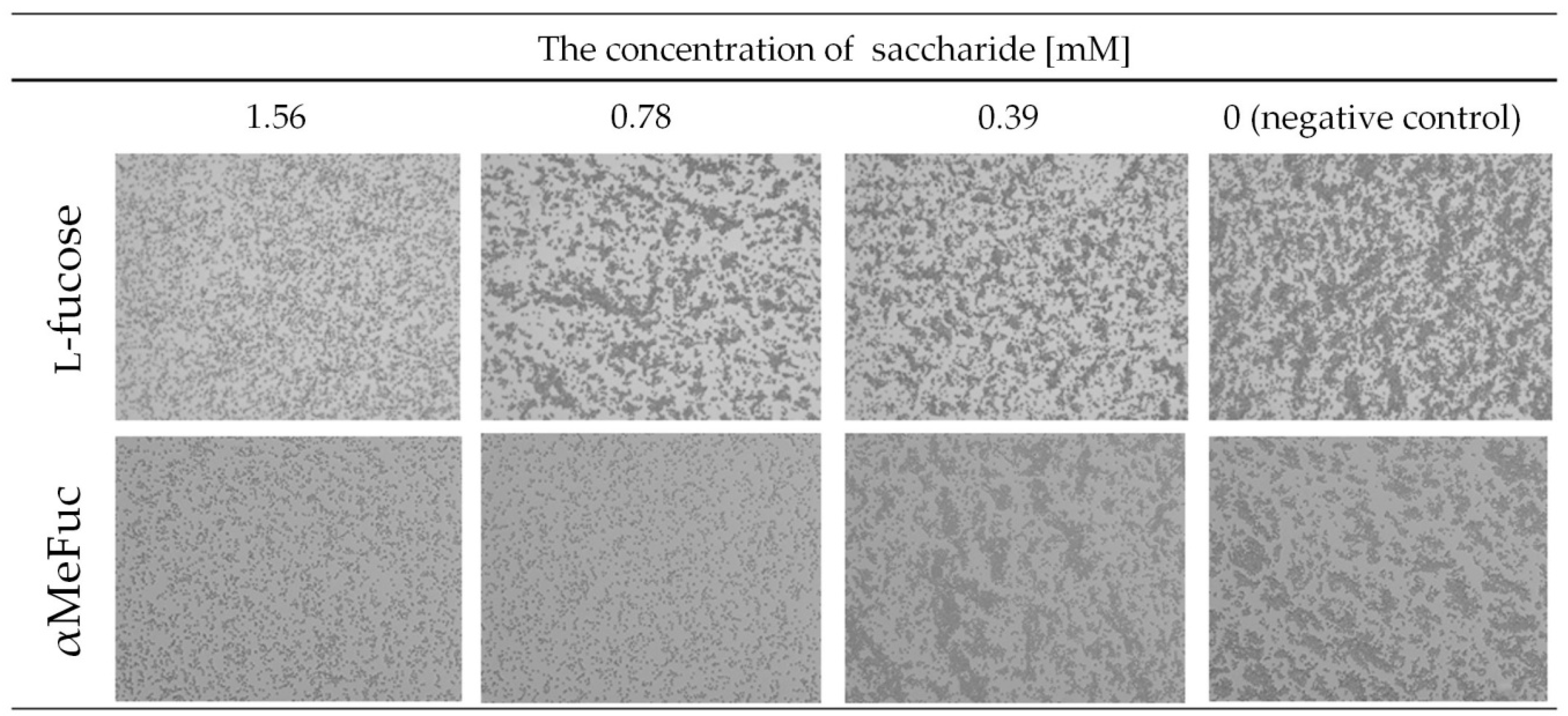 Molecules 24 04540 g002