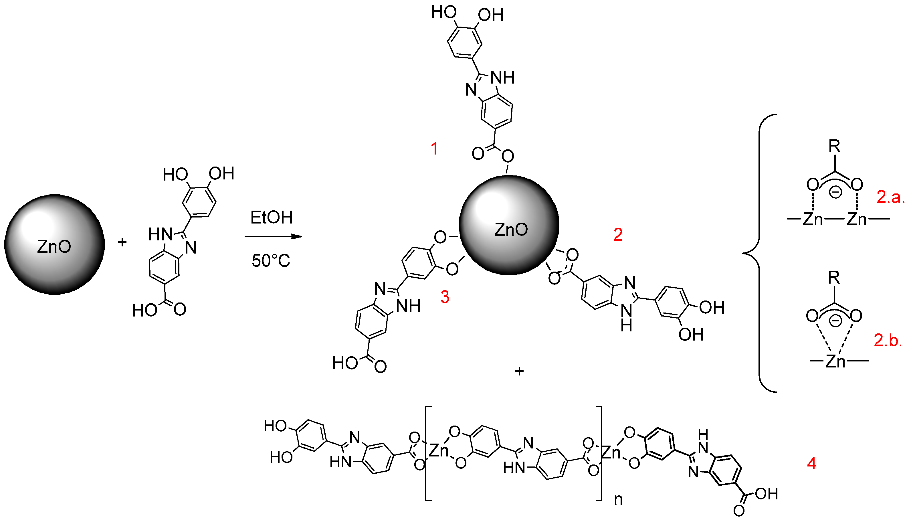 Molecules 24 04546 g005