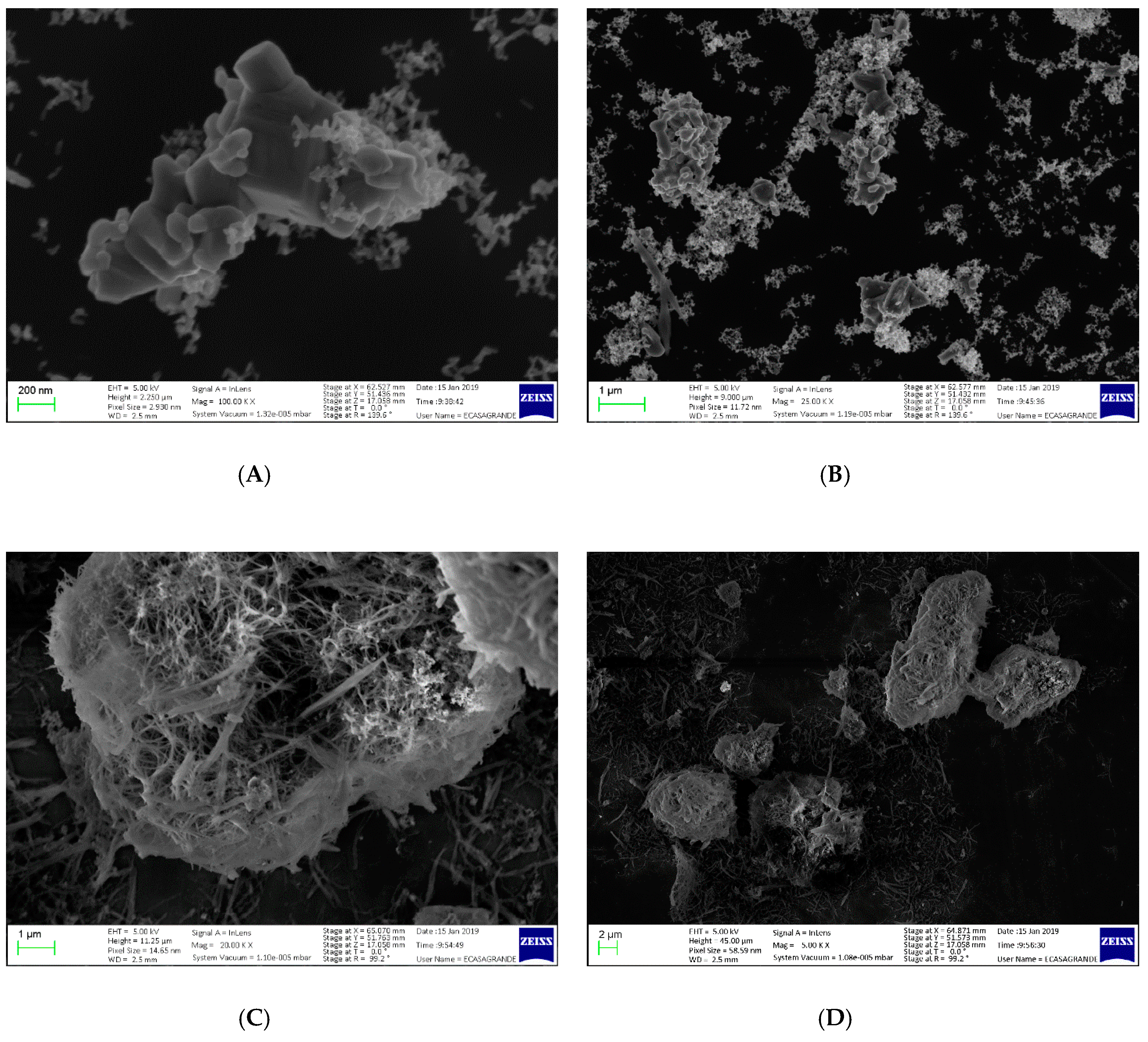 Molecules 24 04546 g007