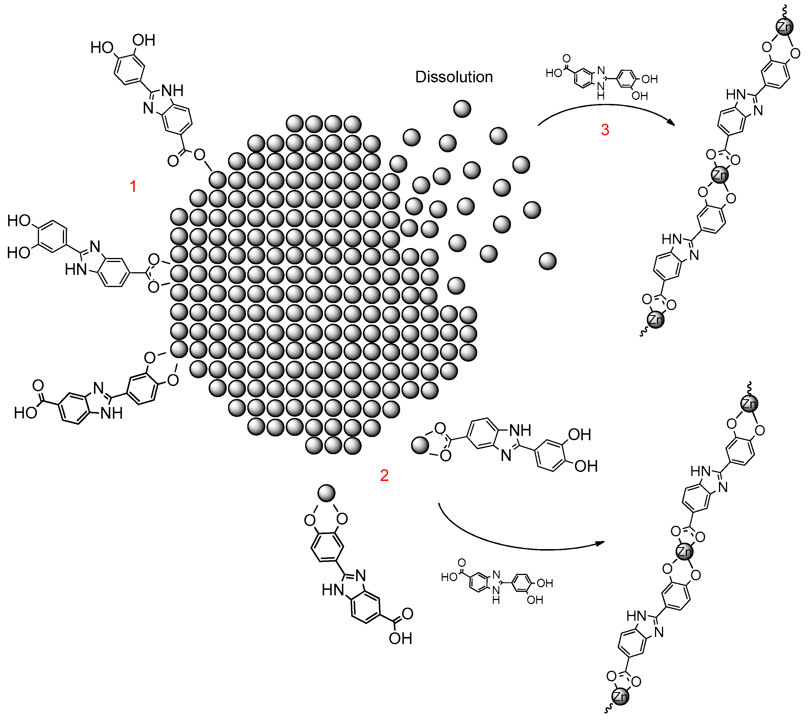 Molecules 24 04546 g010