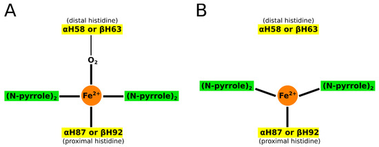 Molecules Free Full Text Rational Drug Design Of Peptide Based Therapies For Sickle Cell Disease Html