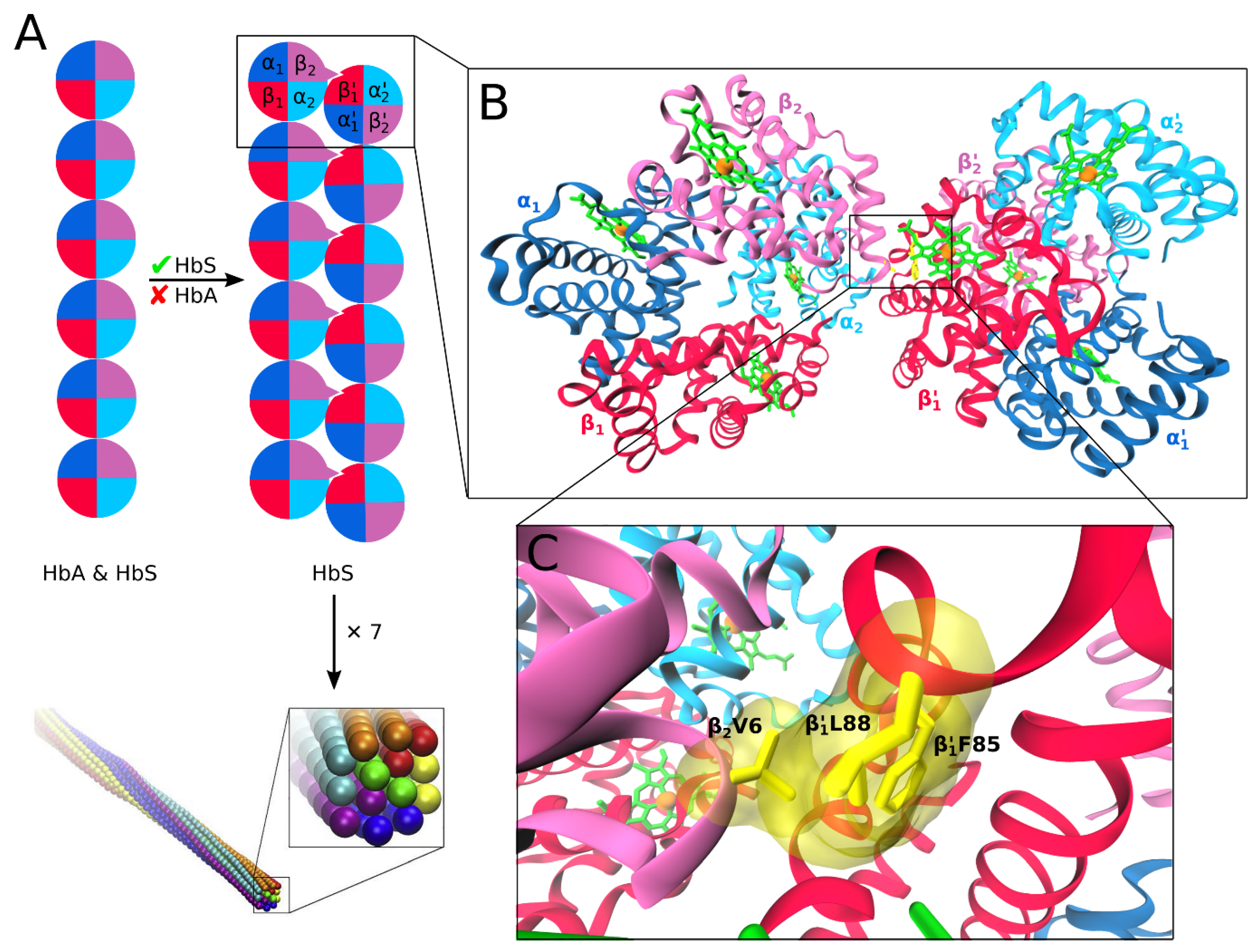 Molecules 24 04551 g003