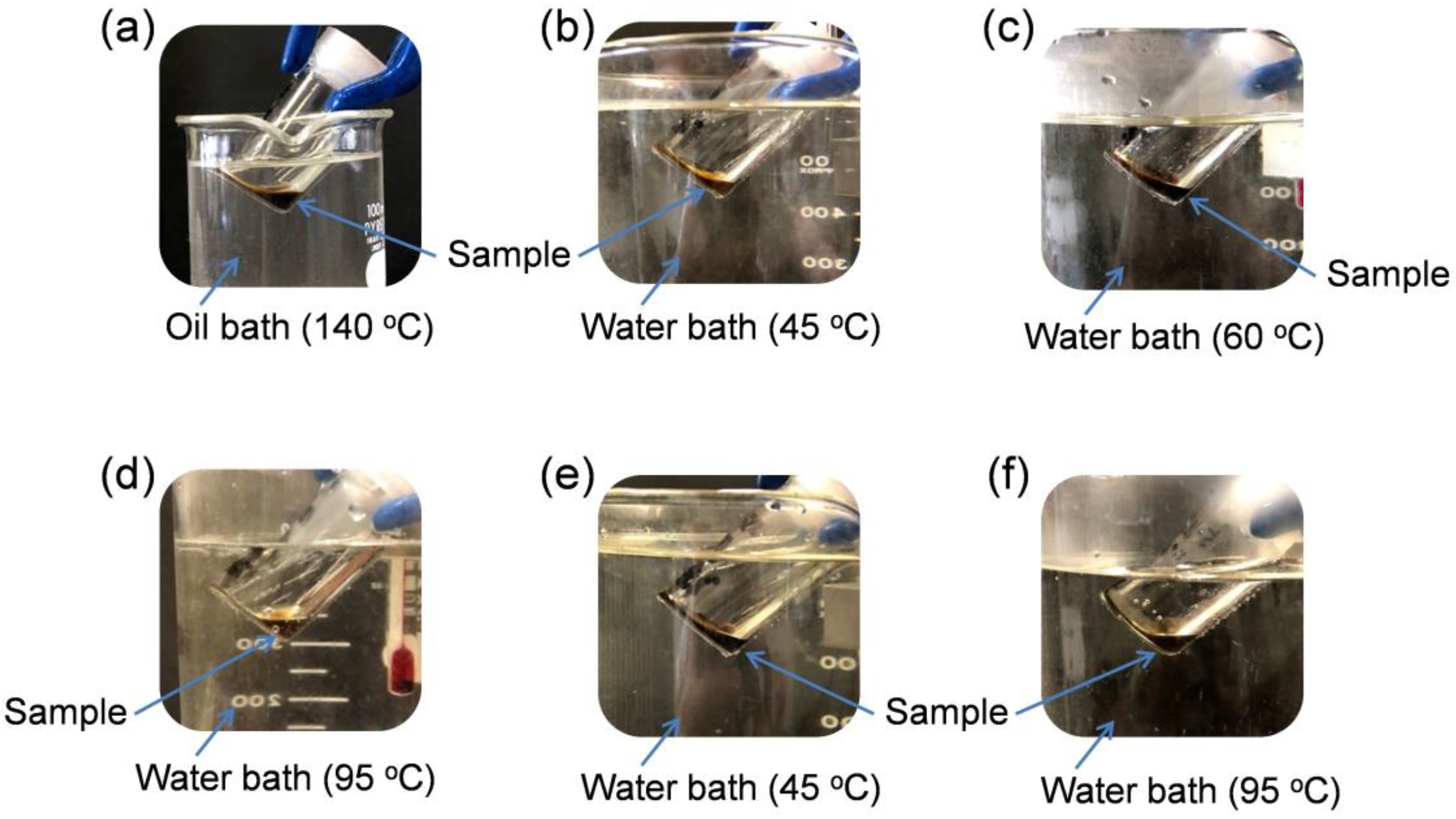 Molecules 24 04553 g010