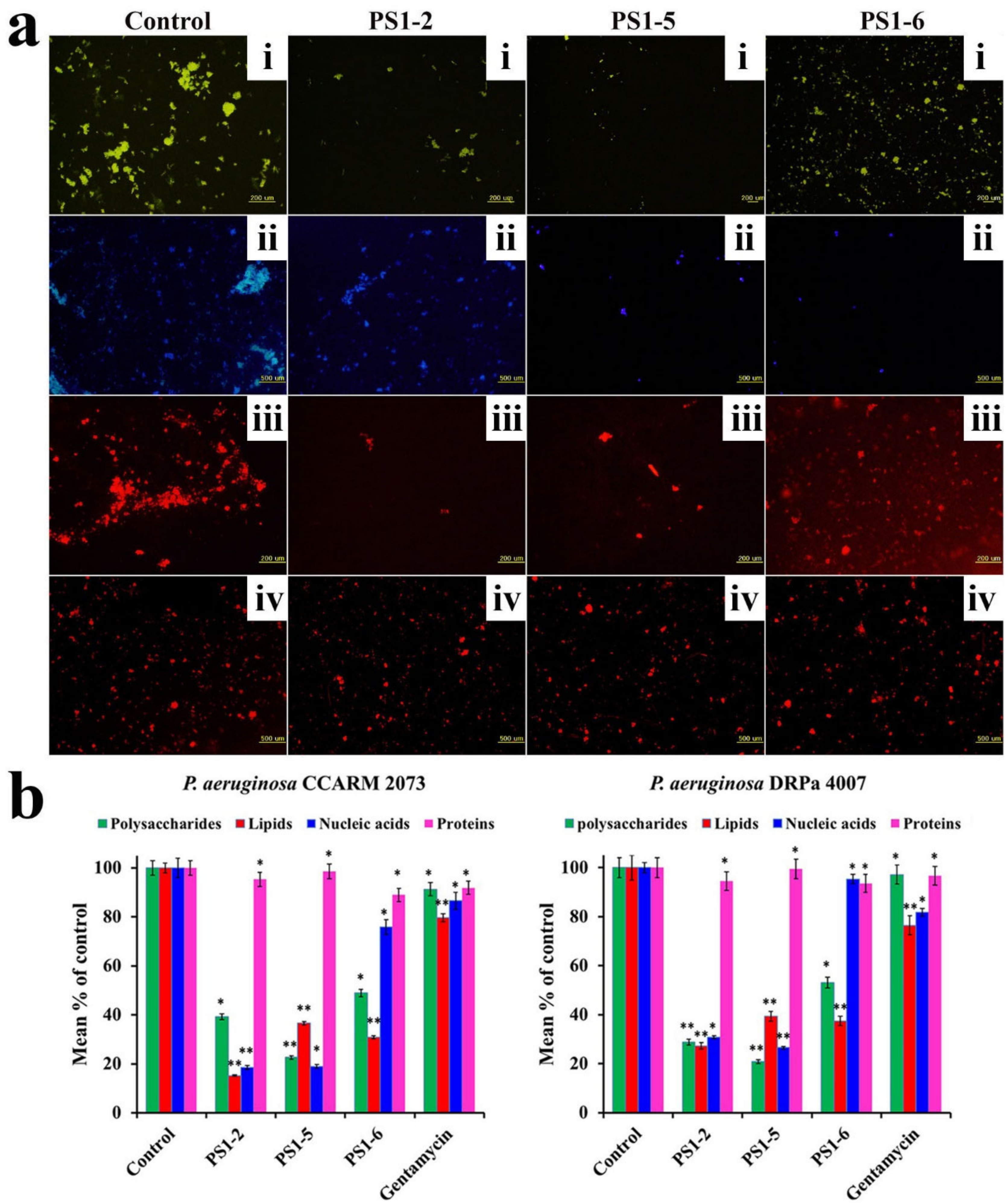 Molecules 24 04560 g004