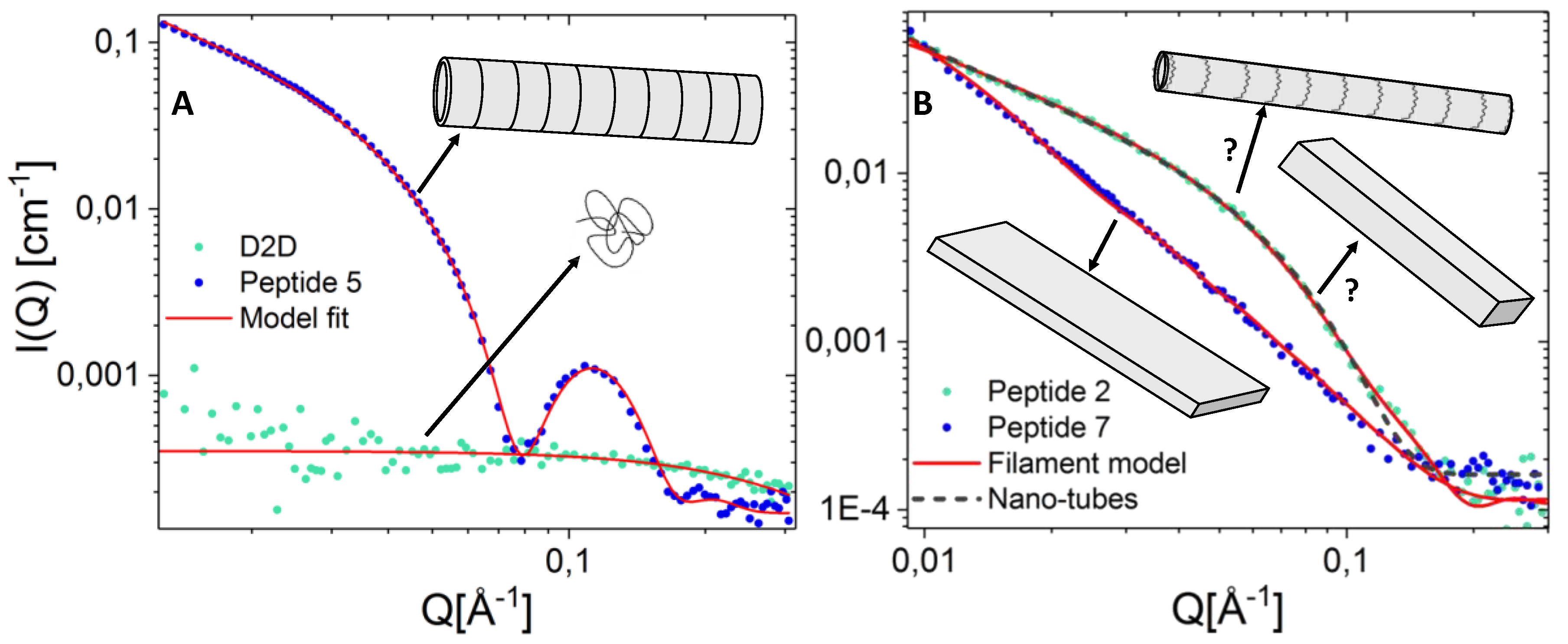 Molecules 24 04571 g006