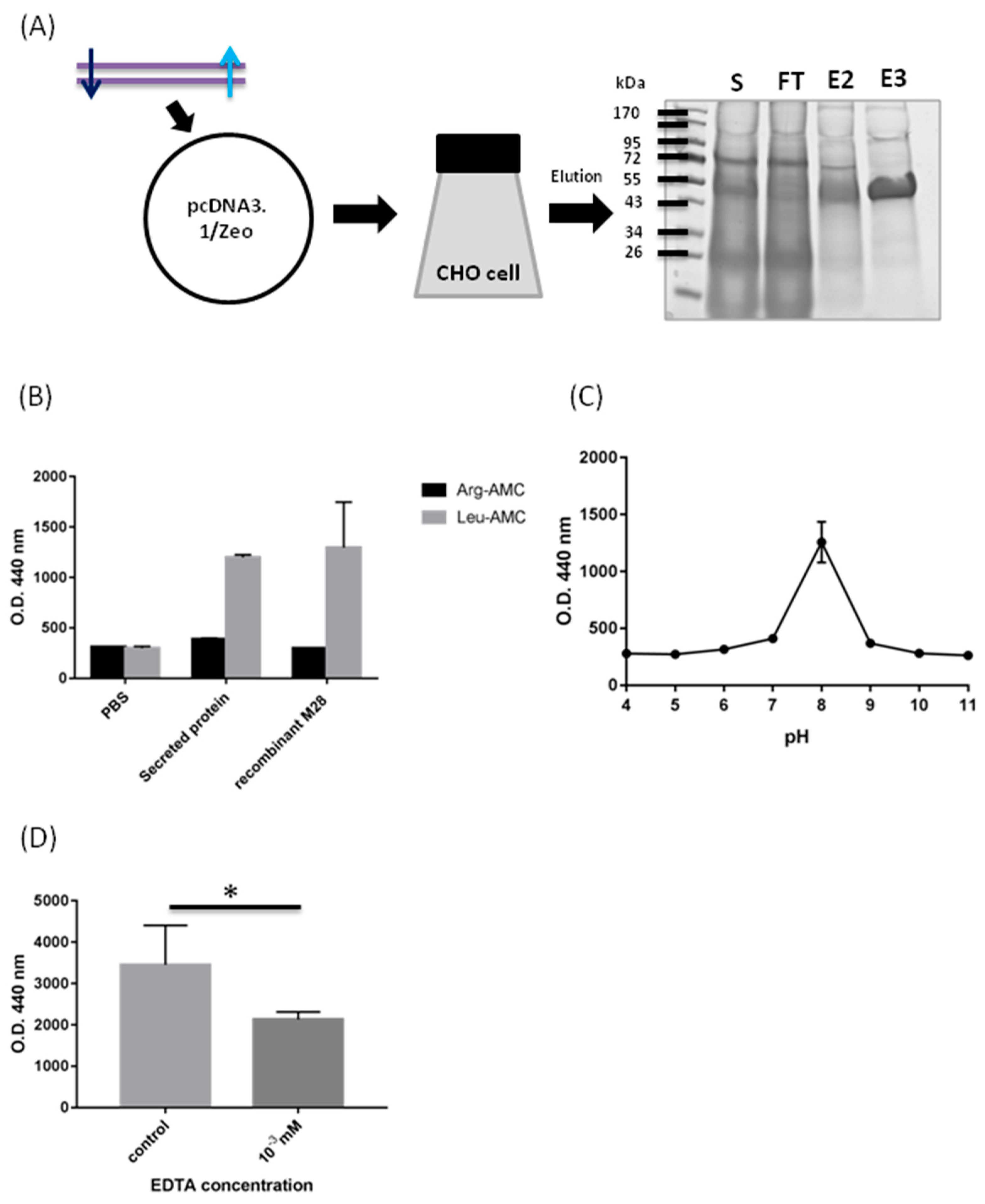 Molecules 24 04573 g002