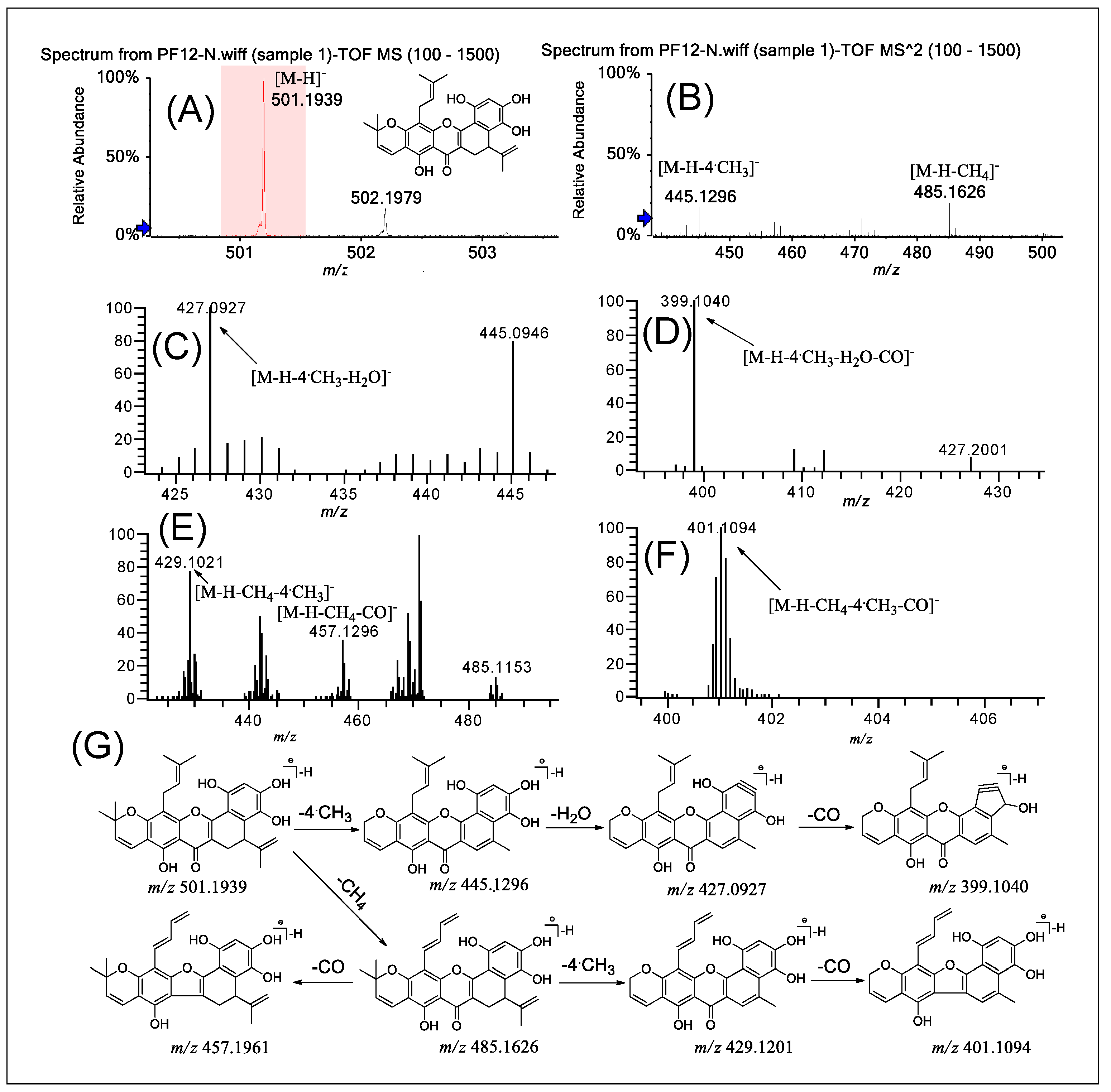 Molecules 24 04591 g007