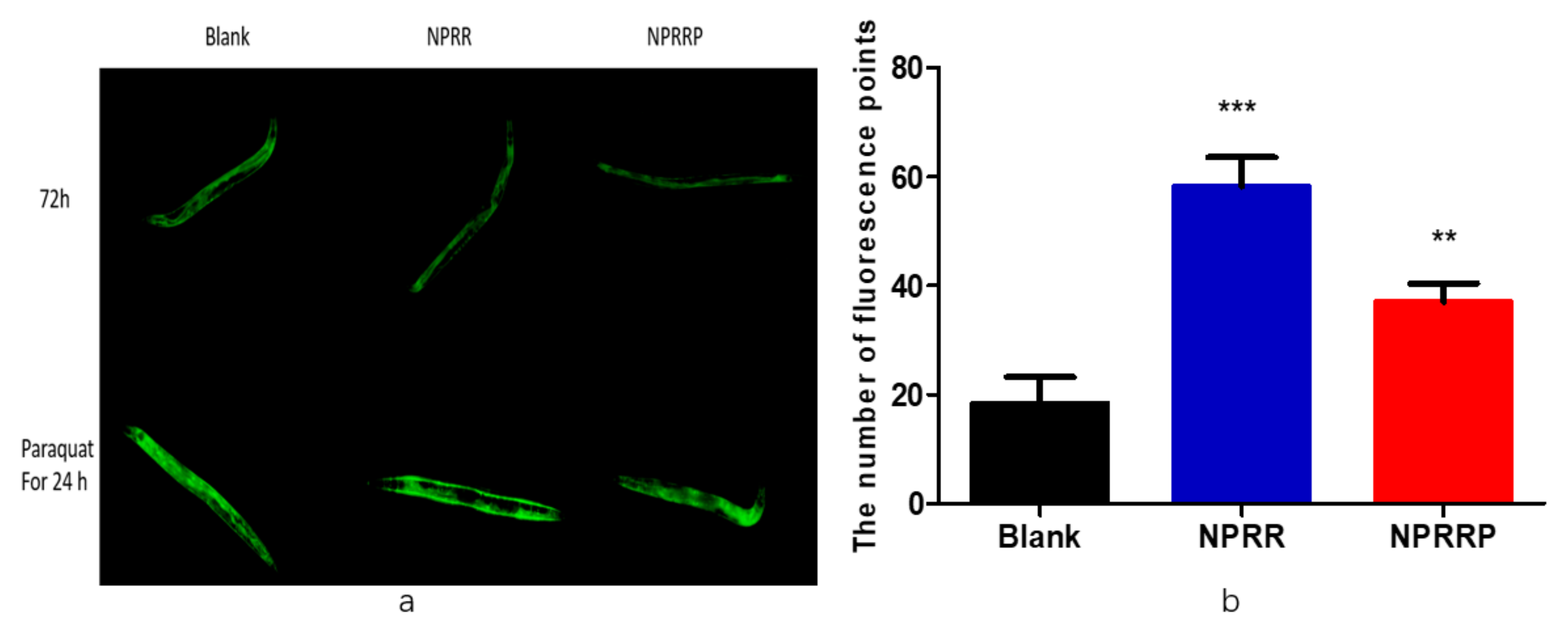 Molecules 24 04592 g008 Molecules 24 04592 g008
