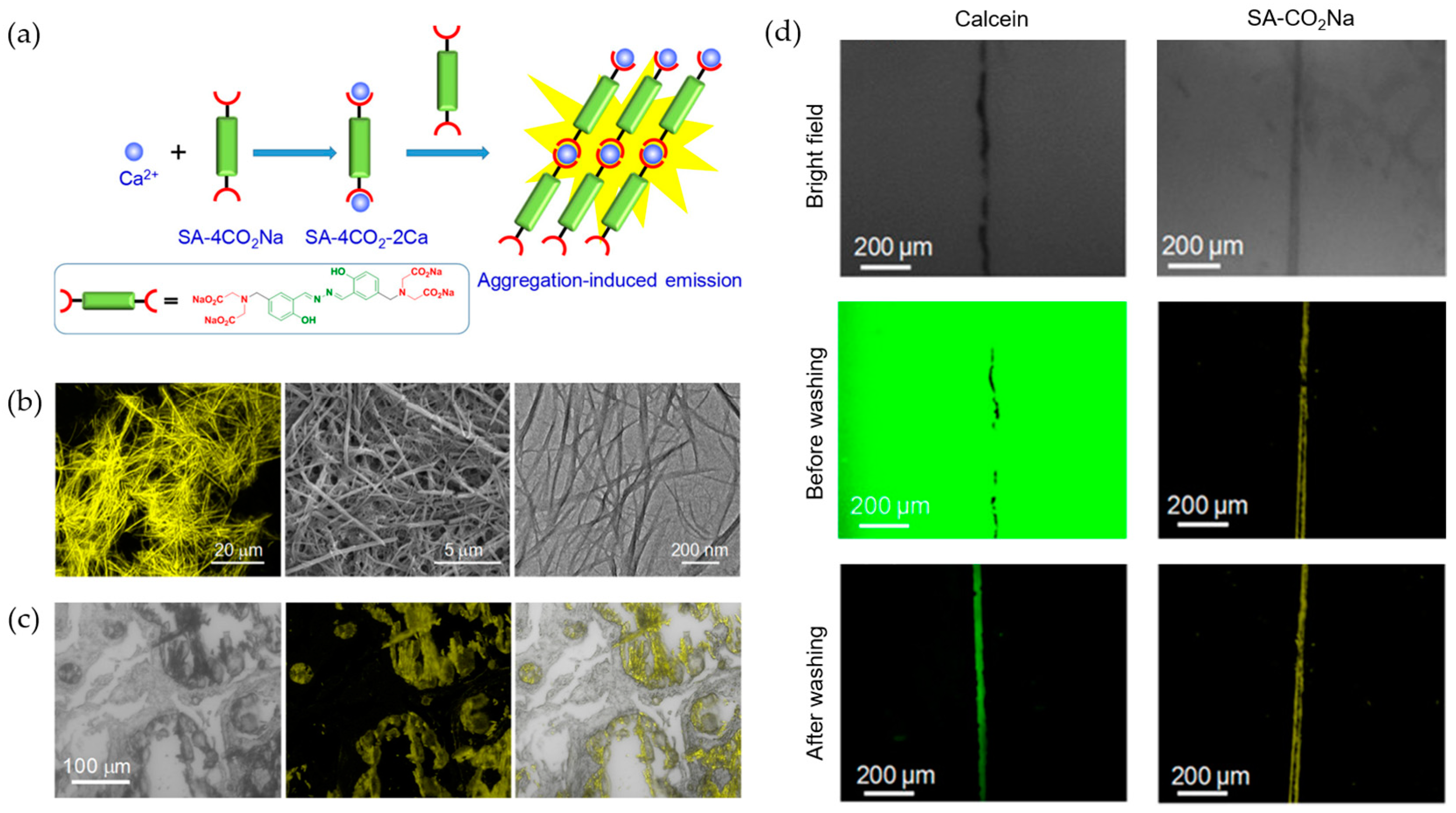 Molecules 24 04593 g002