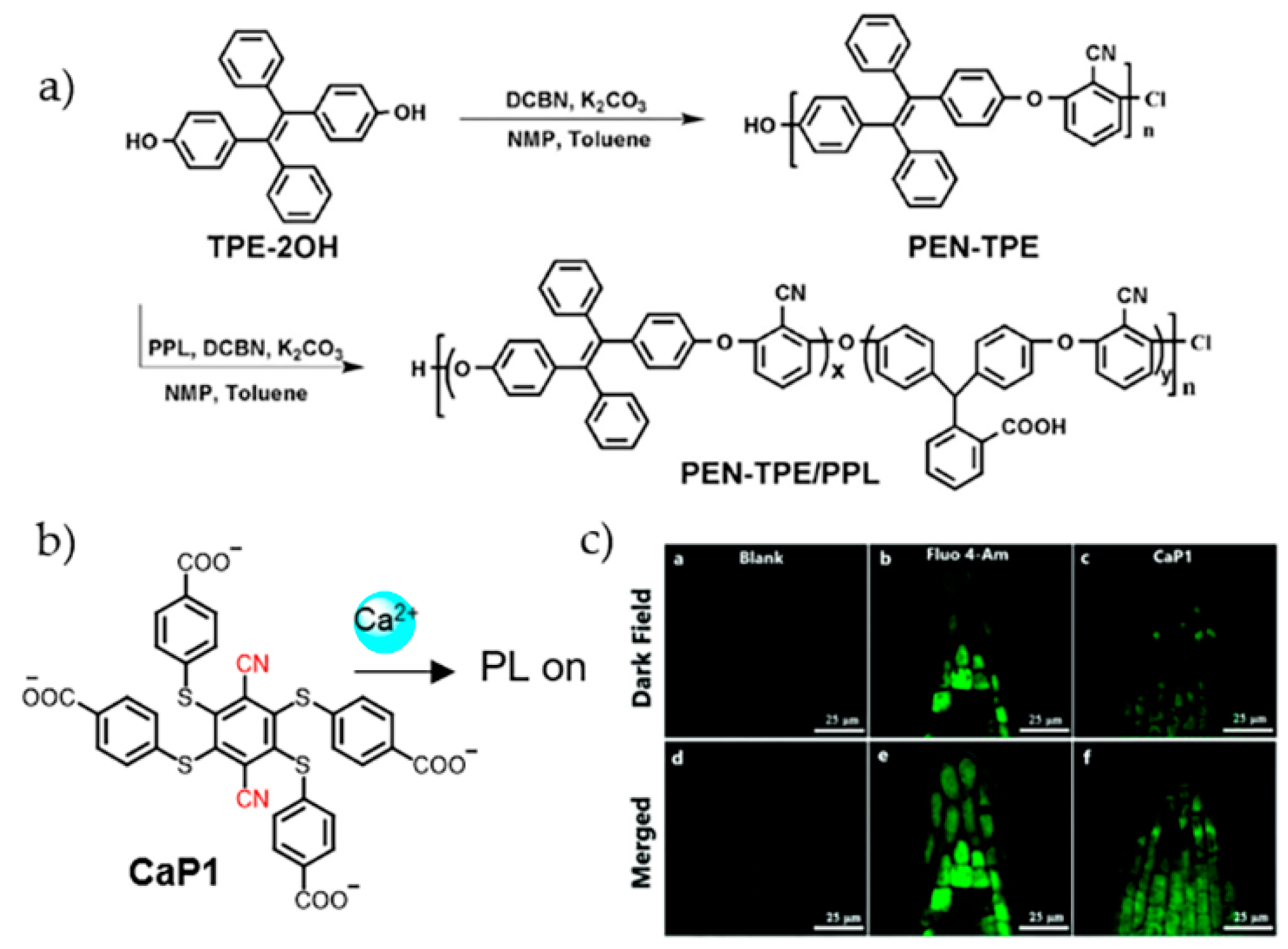 Molecules 24 04593 g003