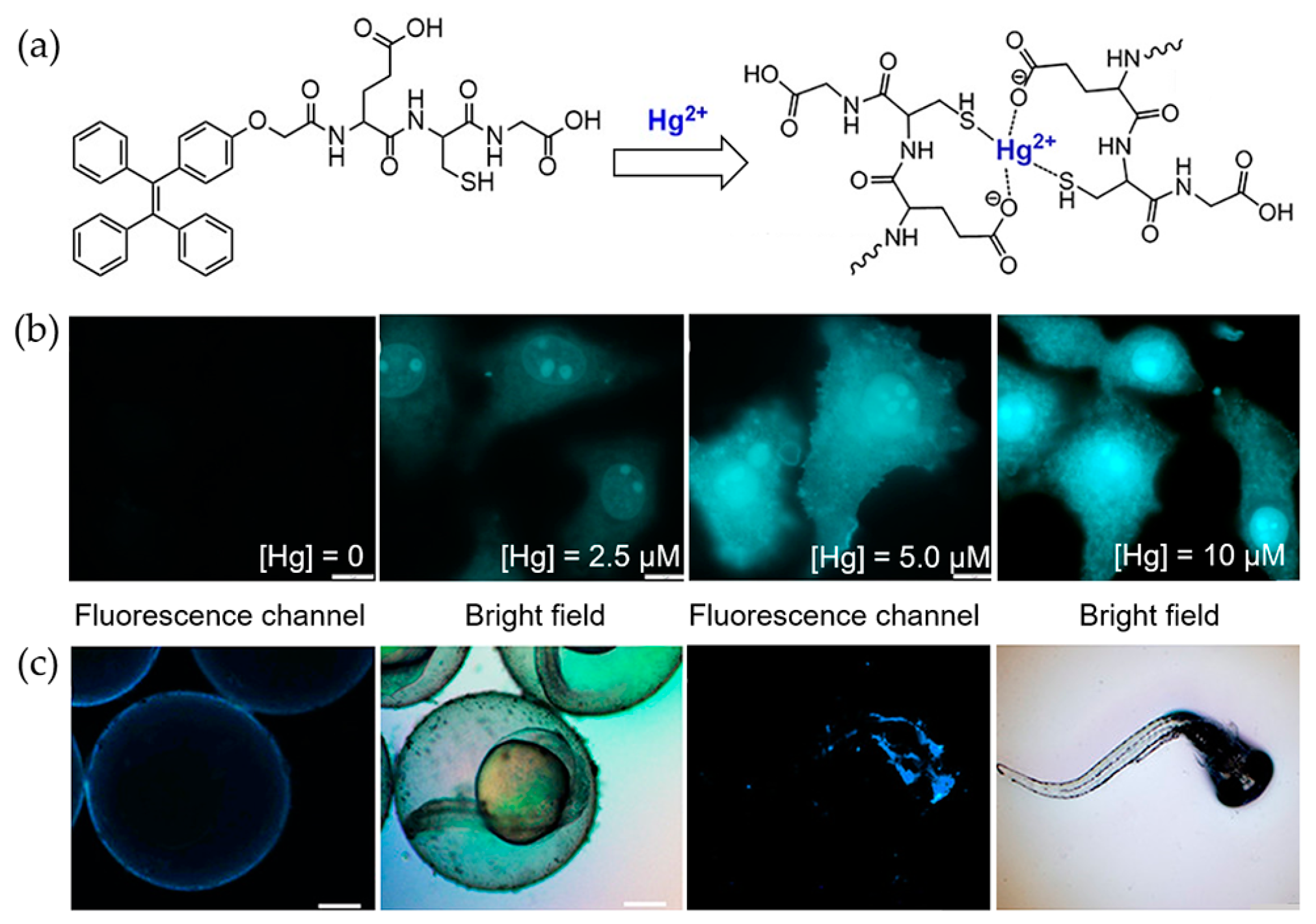 Molecules 24 04593 g004