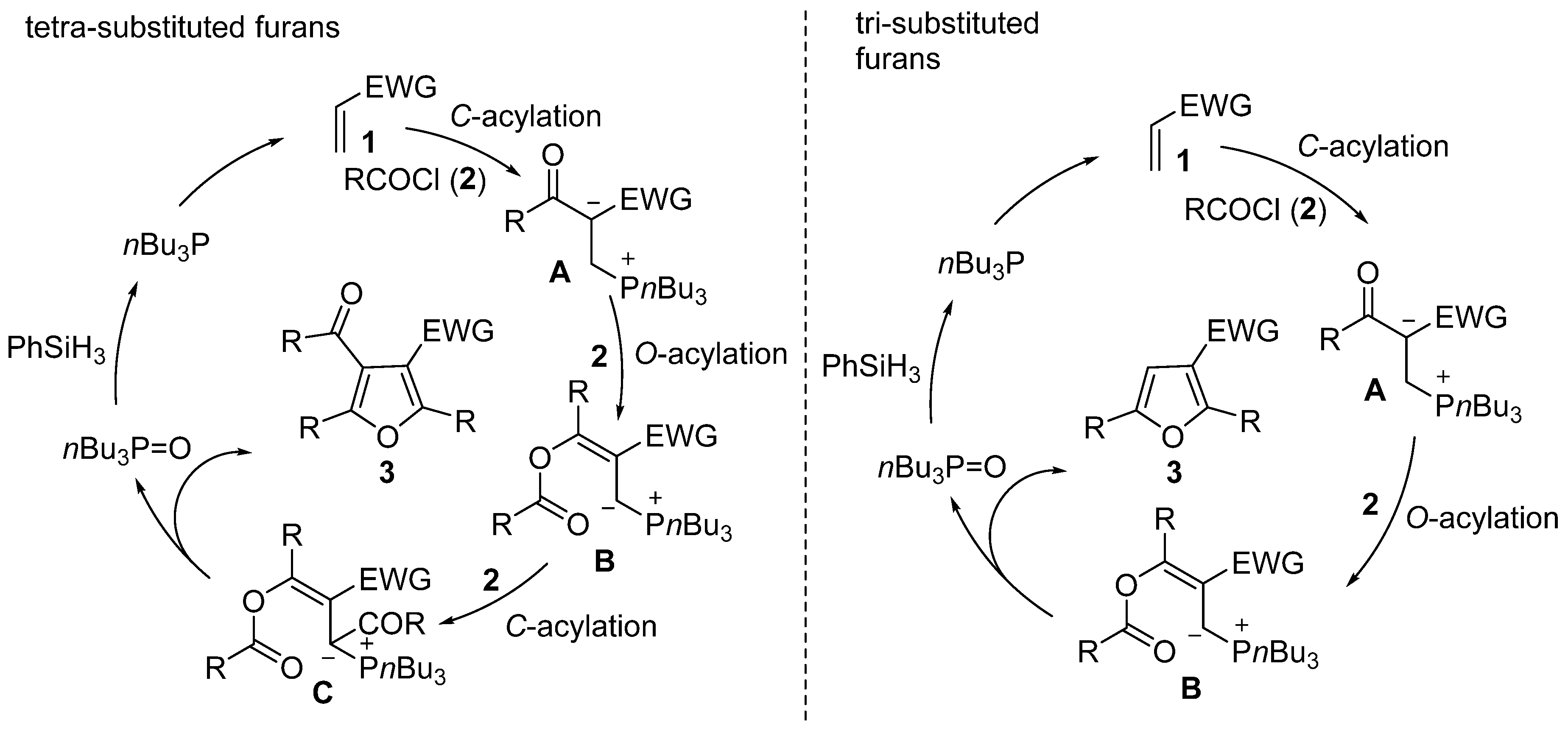 Molecules 24 04595 sch005