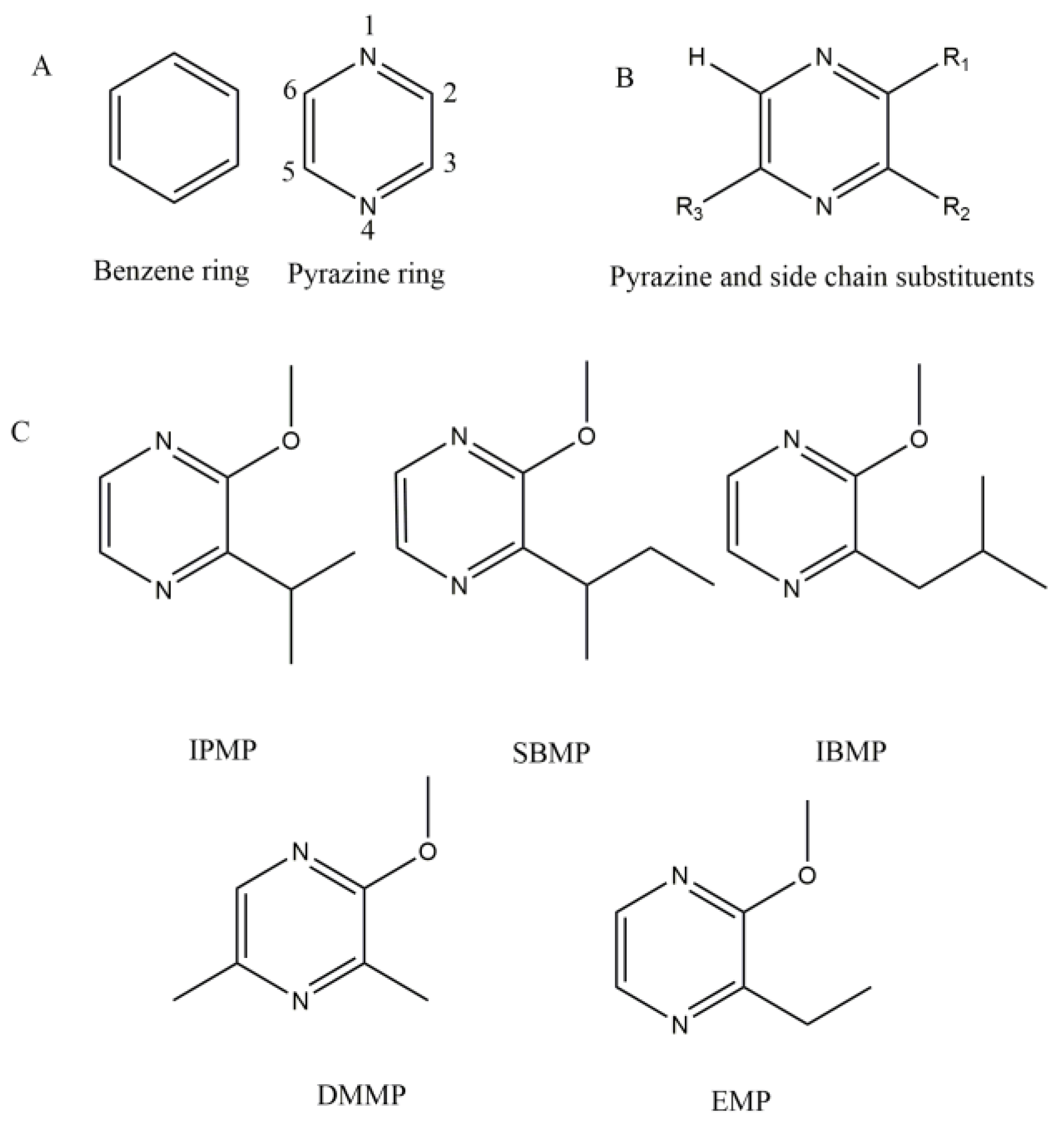 Molecules 24 04598 g001