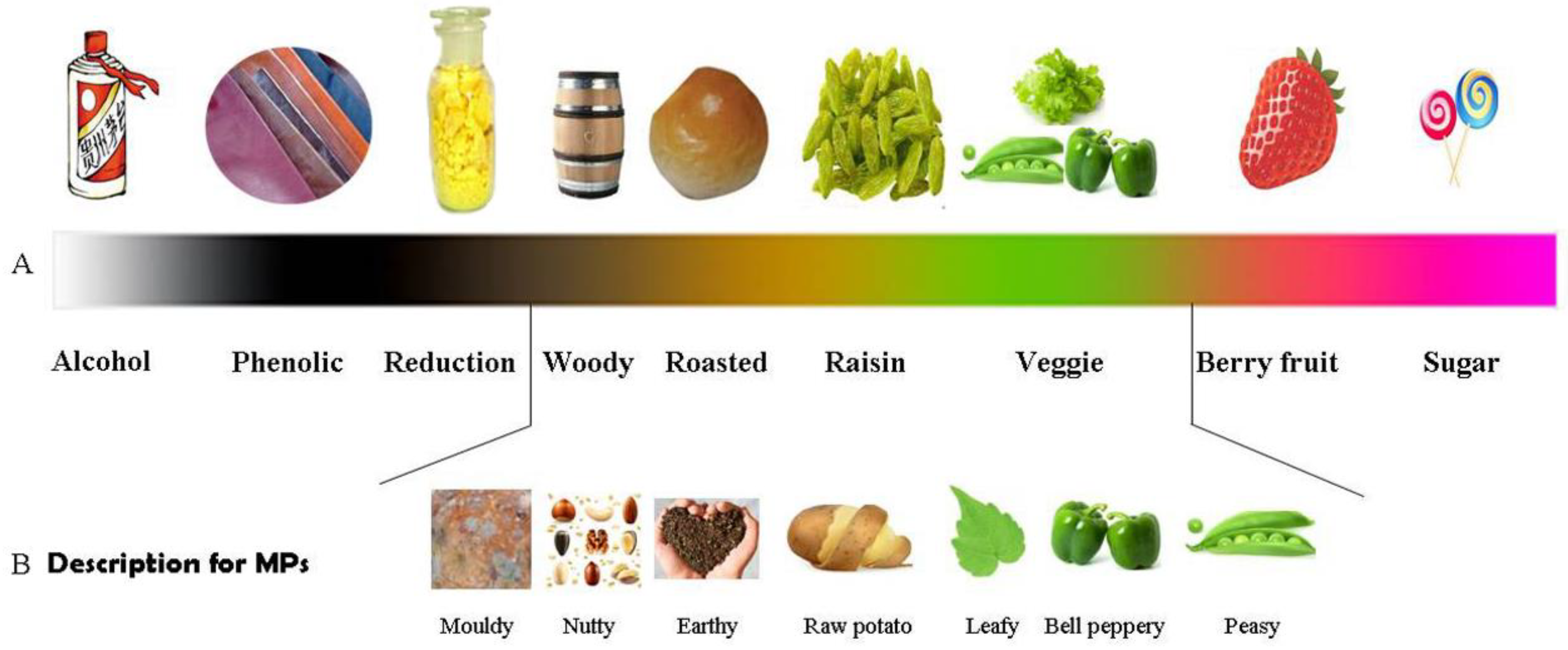Molecules 24 04598 g002