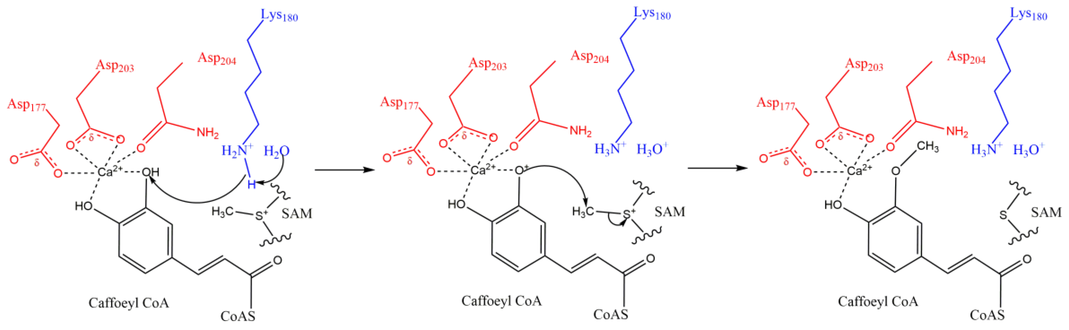 Molecules 24 04598 g006